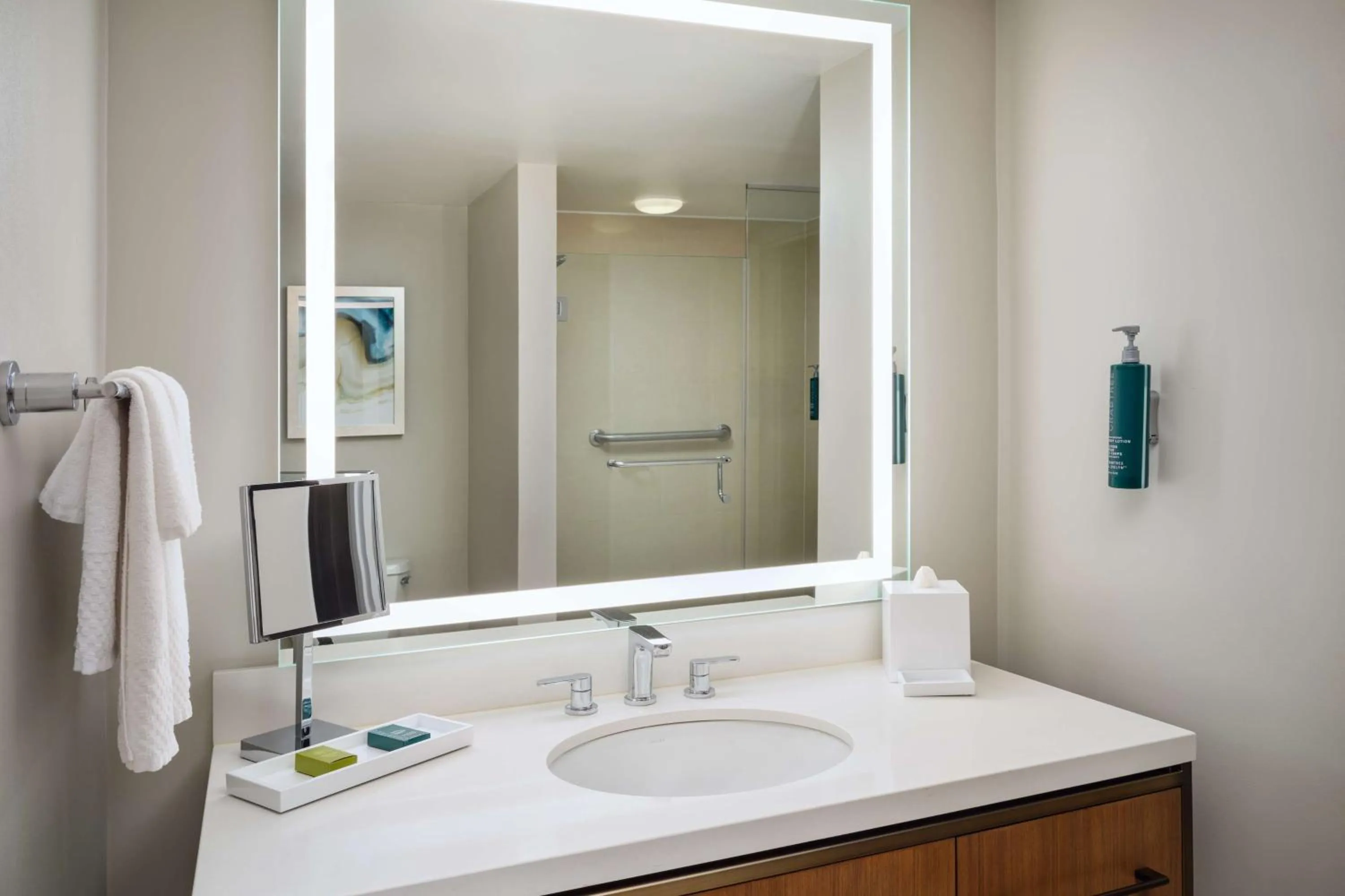 Bathroom in Hilton New Orleans Riverside