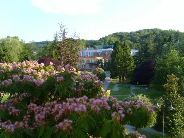 Garden view in Albergo Marenghi