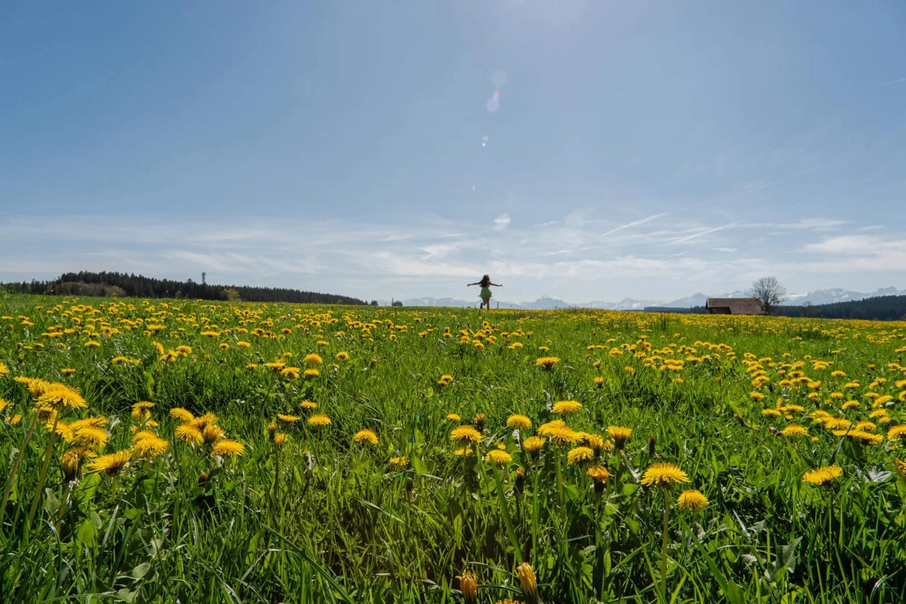 View (from property/room) in Das Weitblick Allgäu