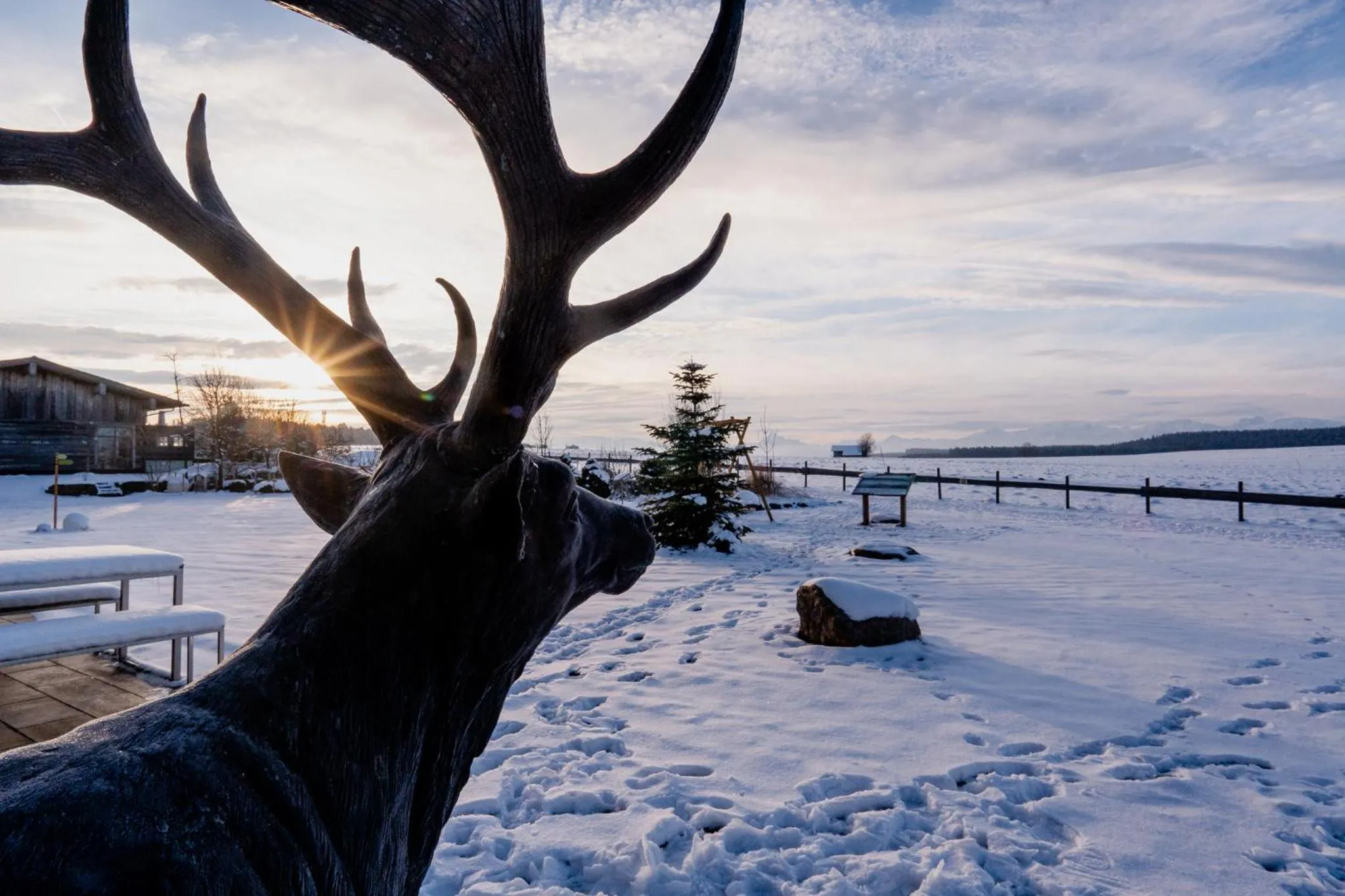 View (from property/room) in Das Weitblick Allgäu