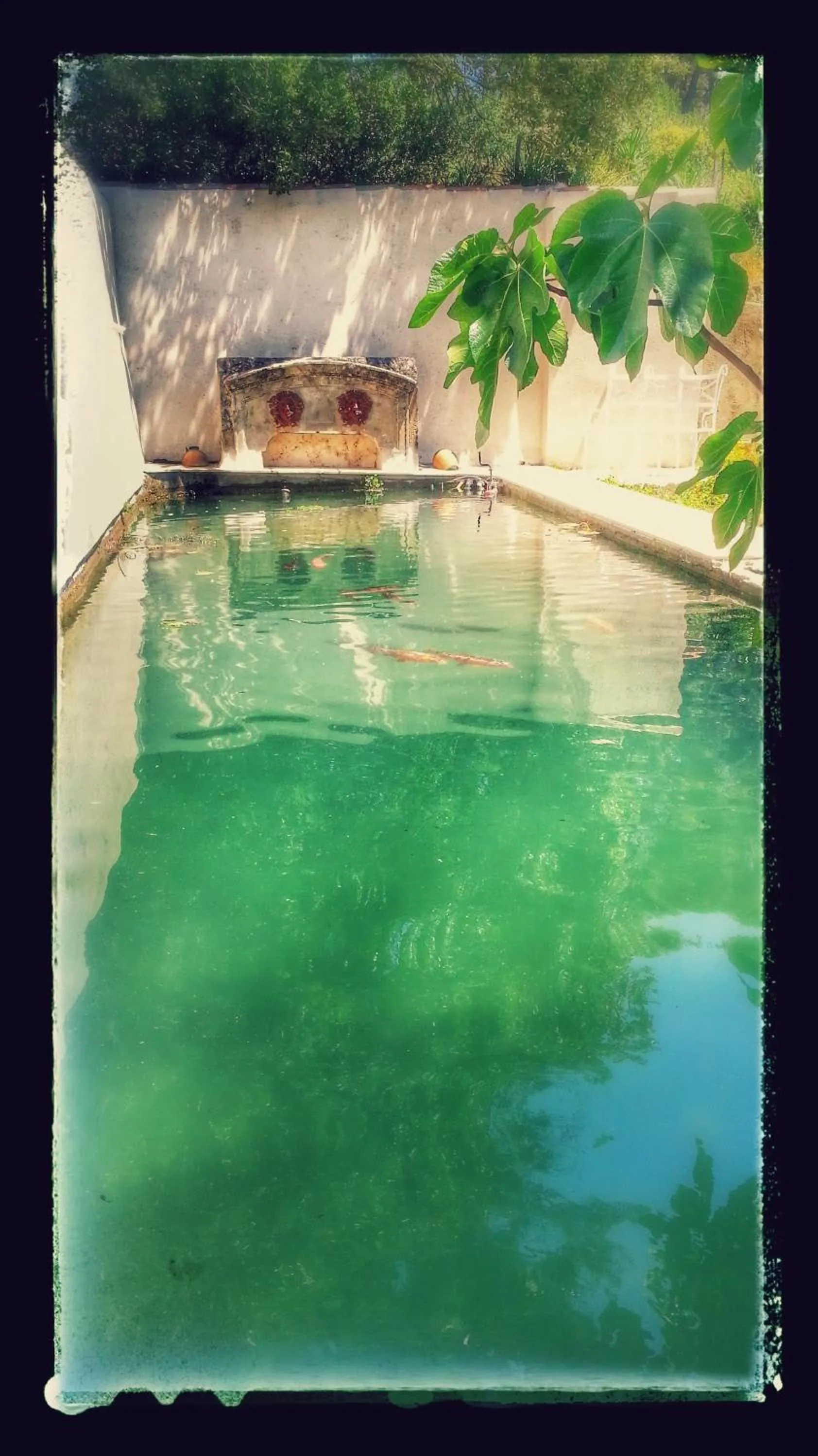 Garden in La Royante