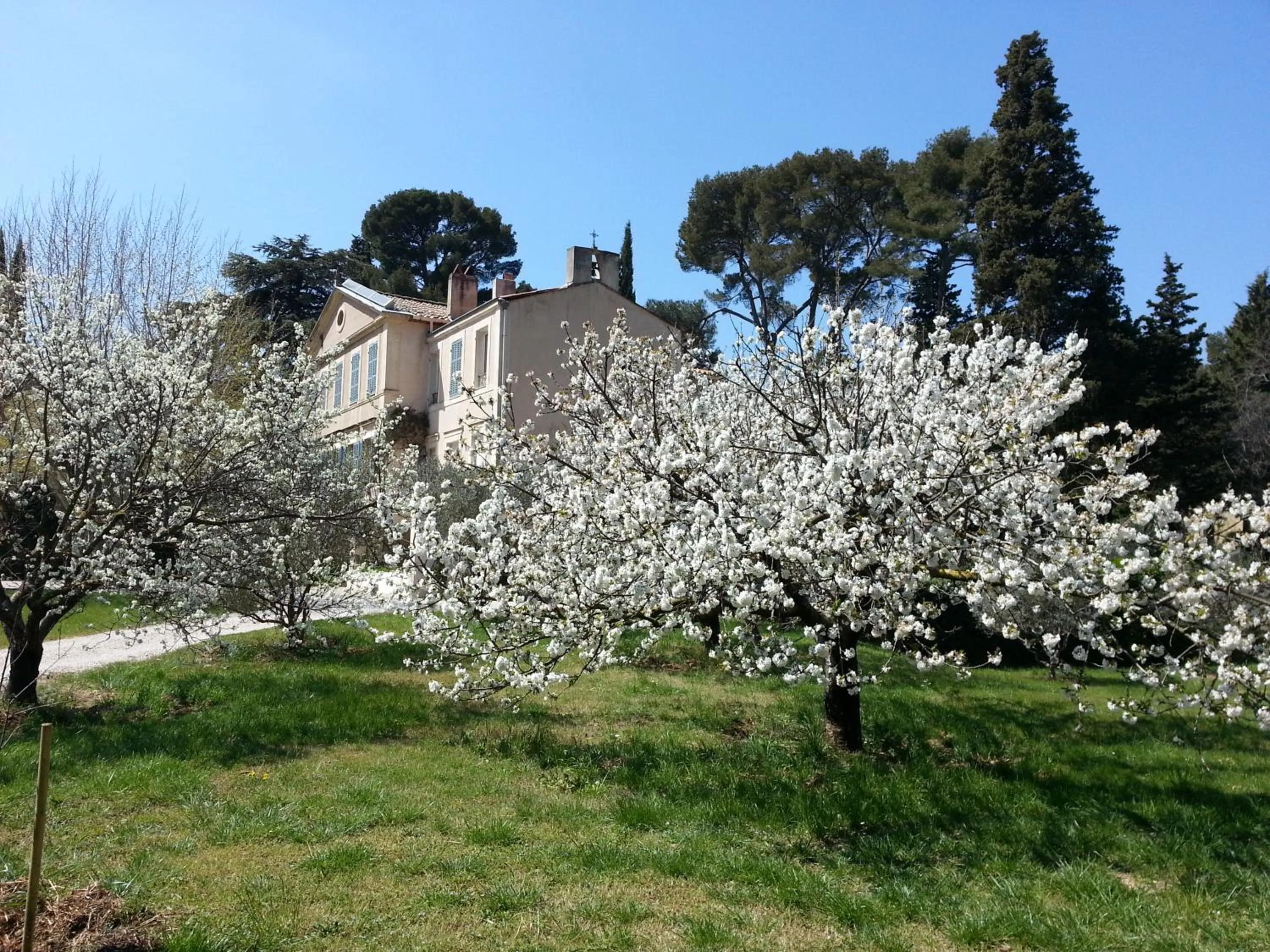 Garden in La Royante