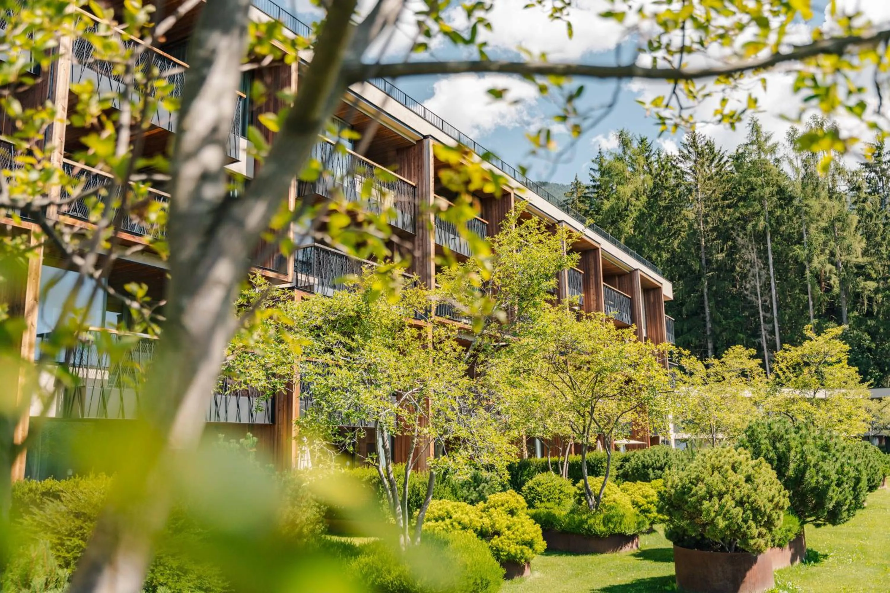 Property building in My Arbor - Dolomites