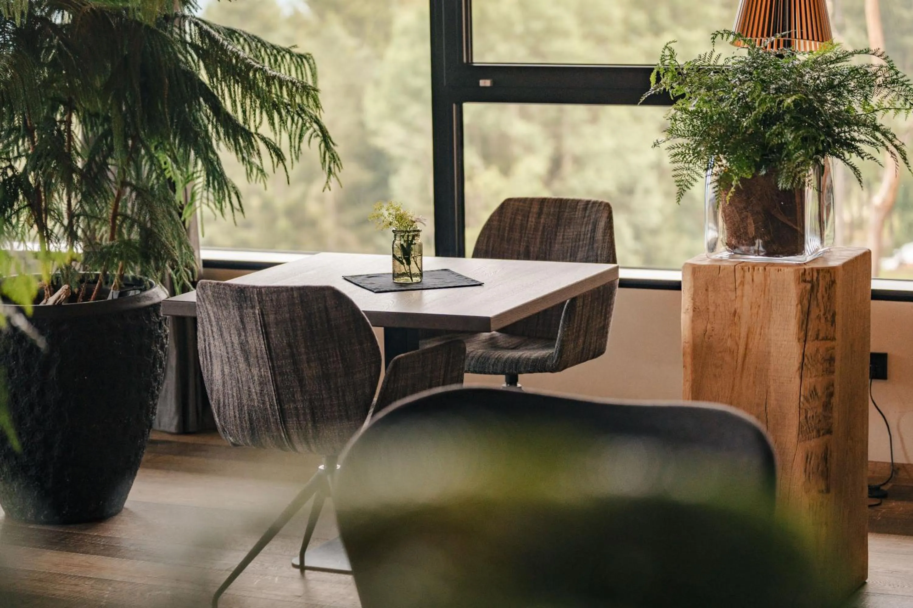 Lounge or bar in My Arbor - Dolomites