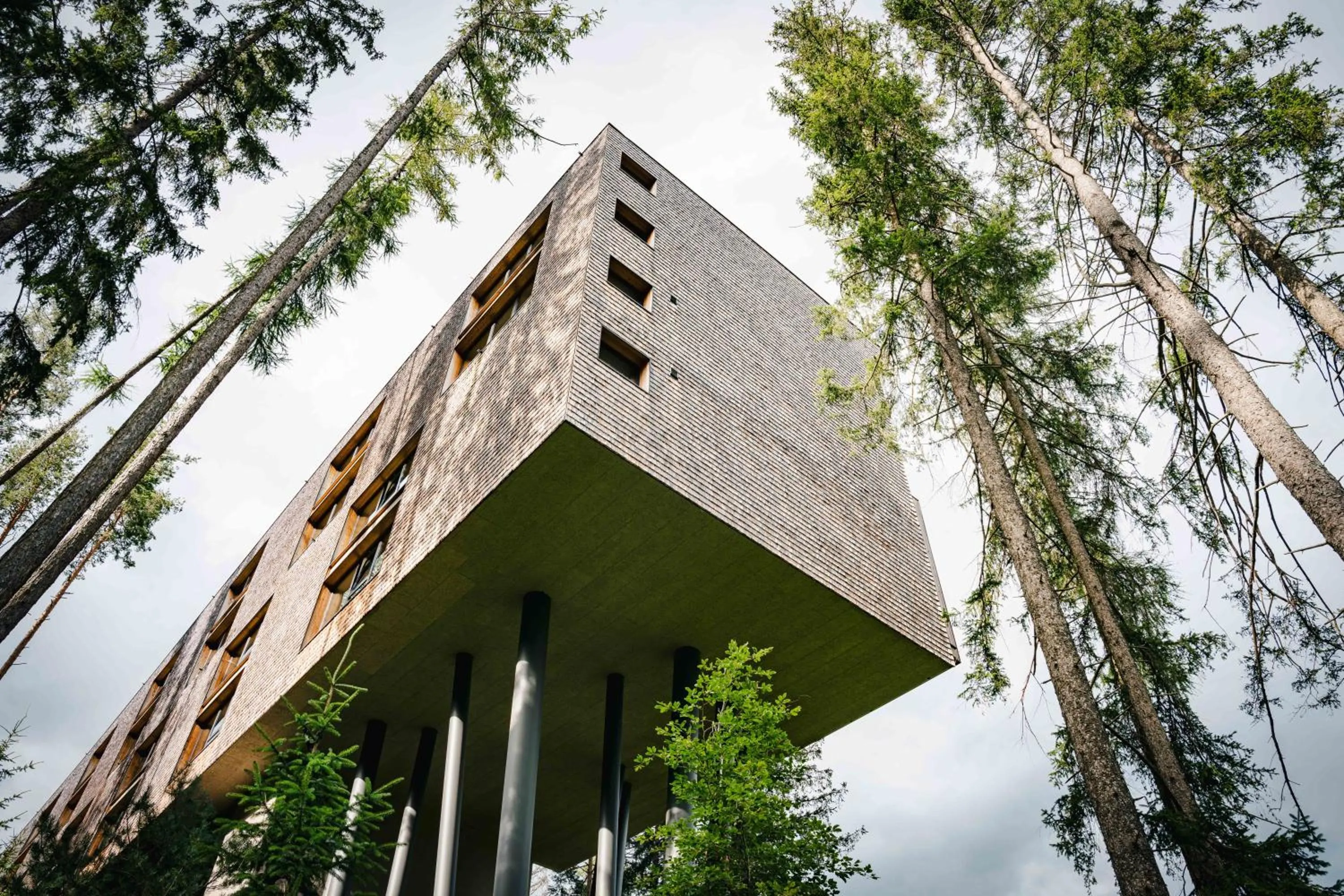 Property building in My Arbor - Dolomites