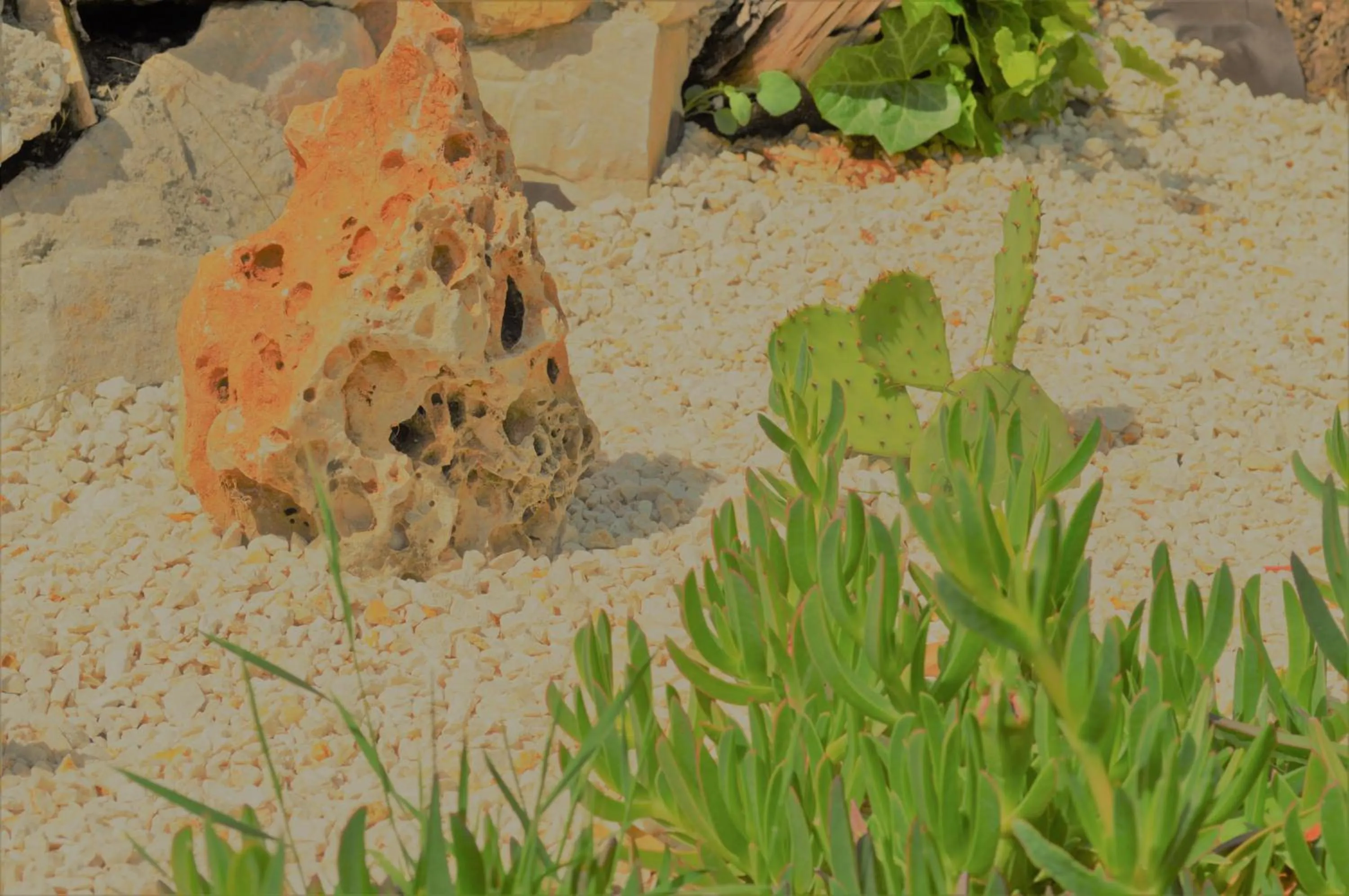 Villa La Terre Des Lauriers