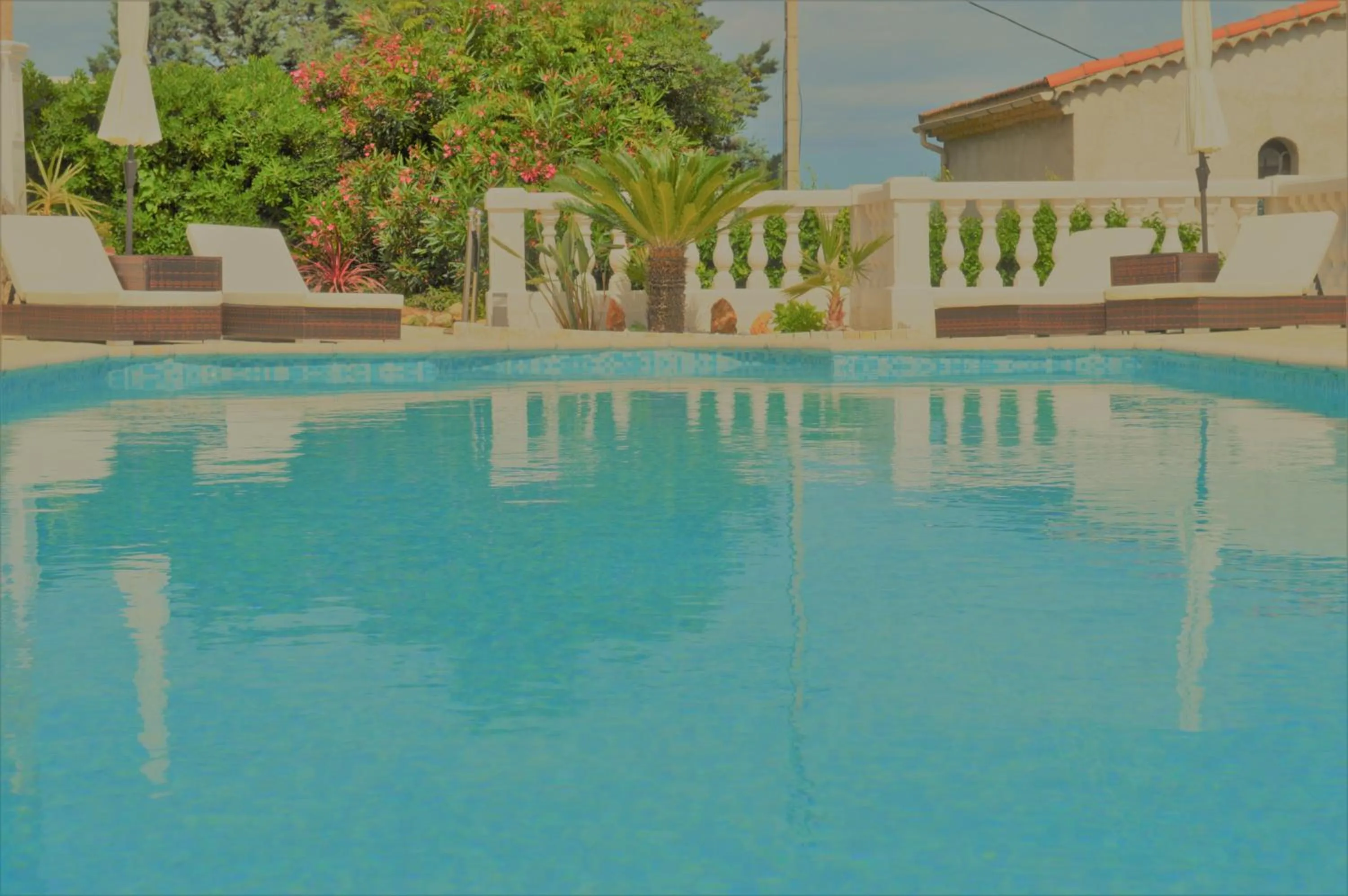 Garden in Villa La Terre Des Lauriers