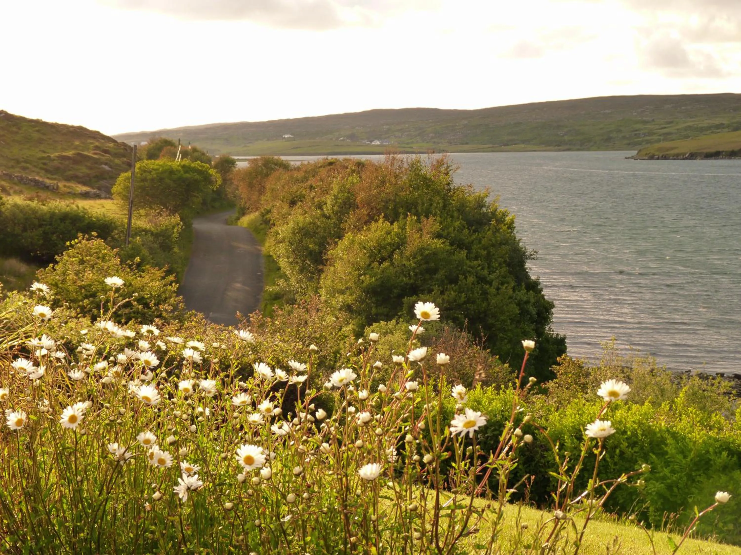 Garden in Waterfront Rest B&B