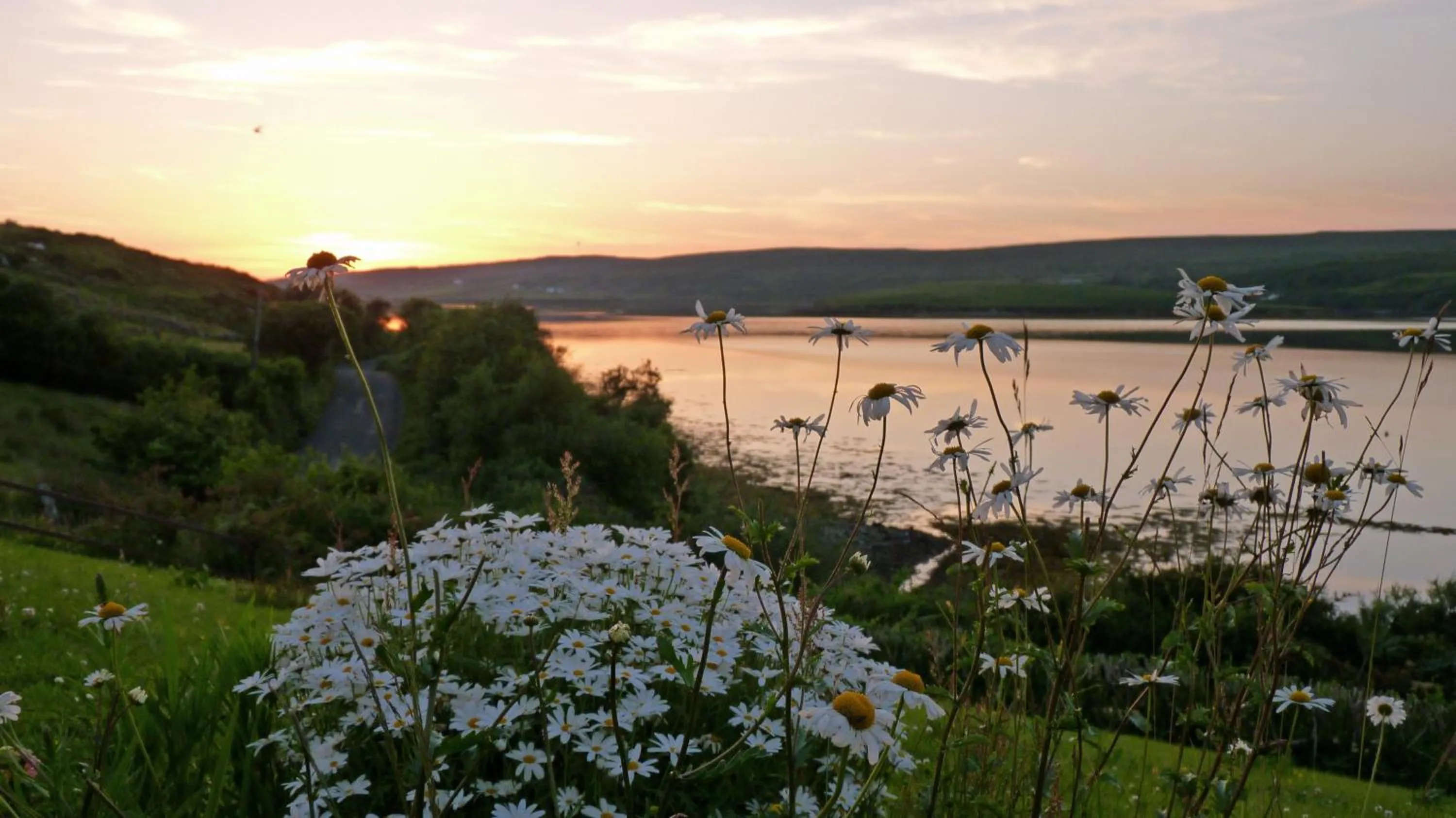 Garden in Waterfront Rest B&B