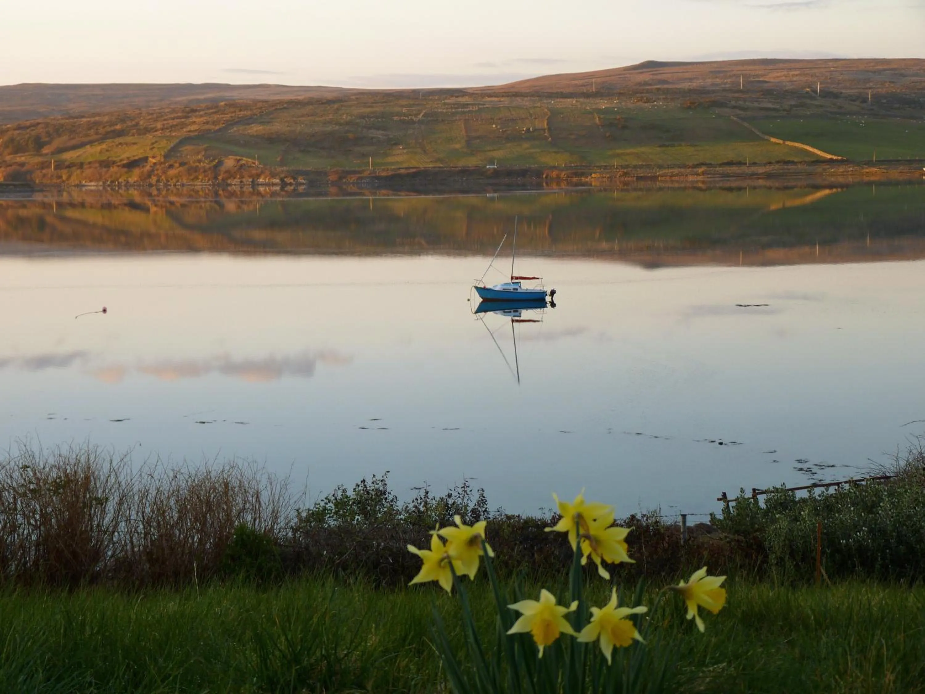 Garden in Waterfront Rest B&B
