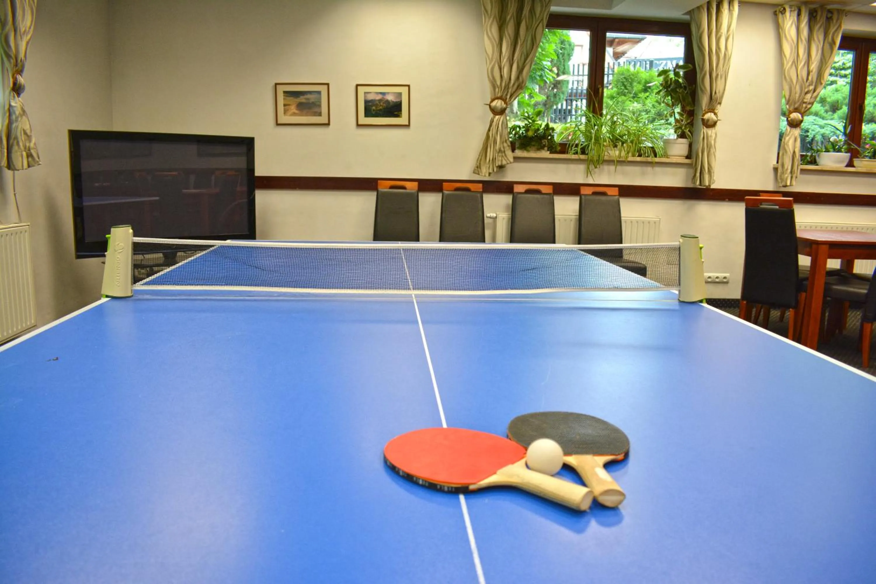 Table tennis in Willa Halka