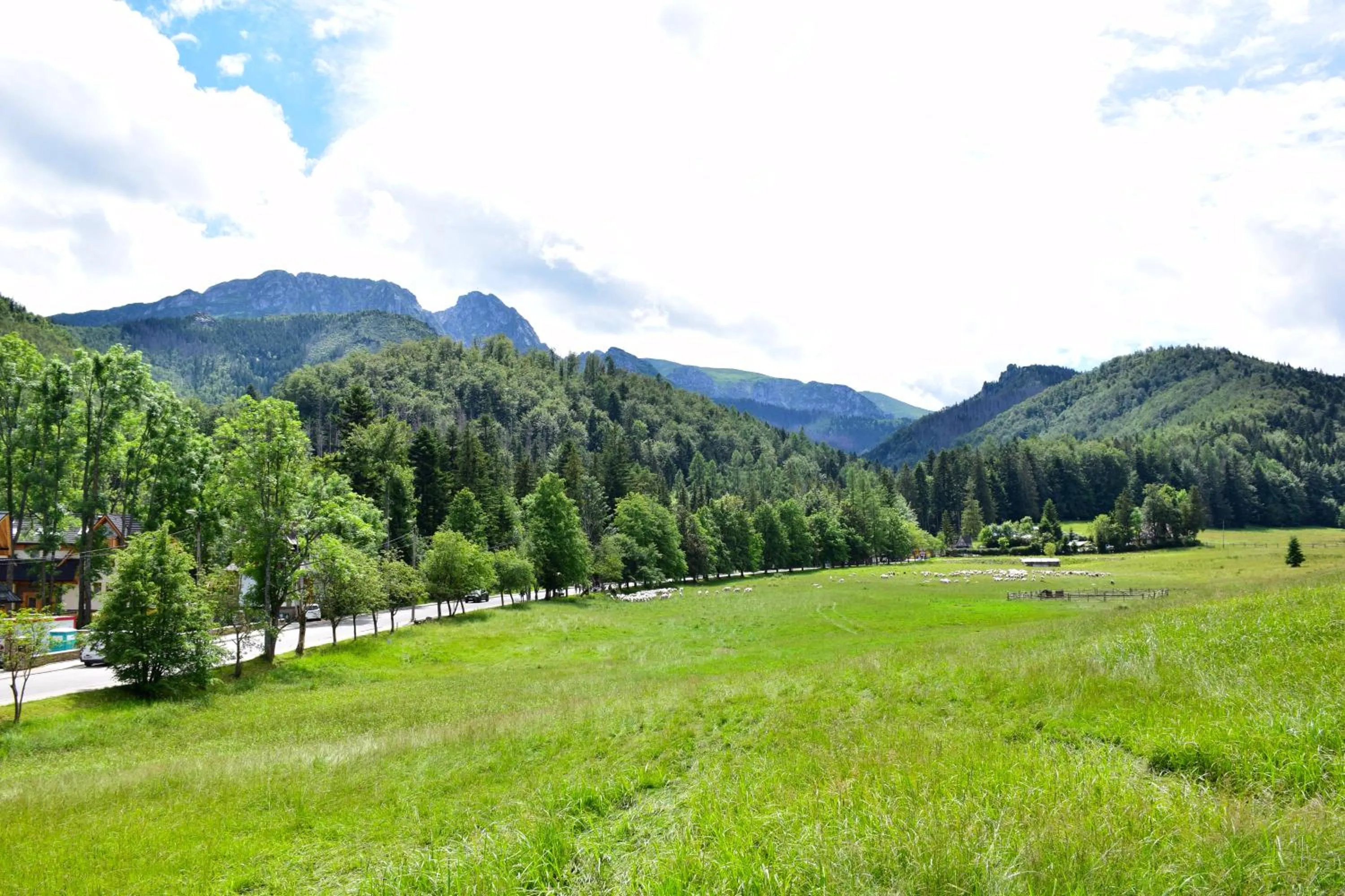 Off site in Willa Halka