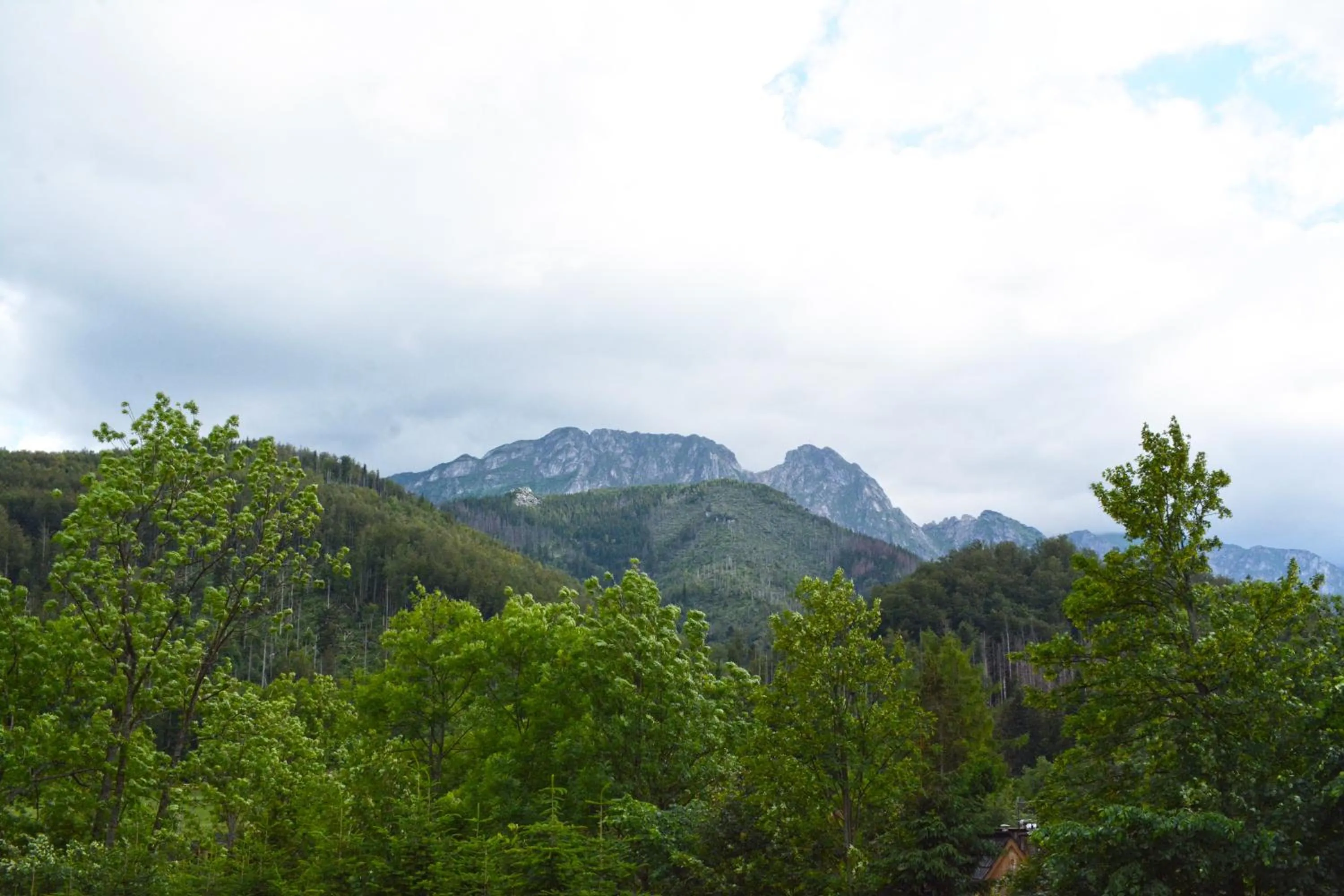 Mountain view in Willa Halka