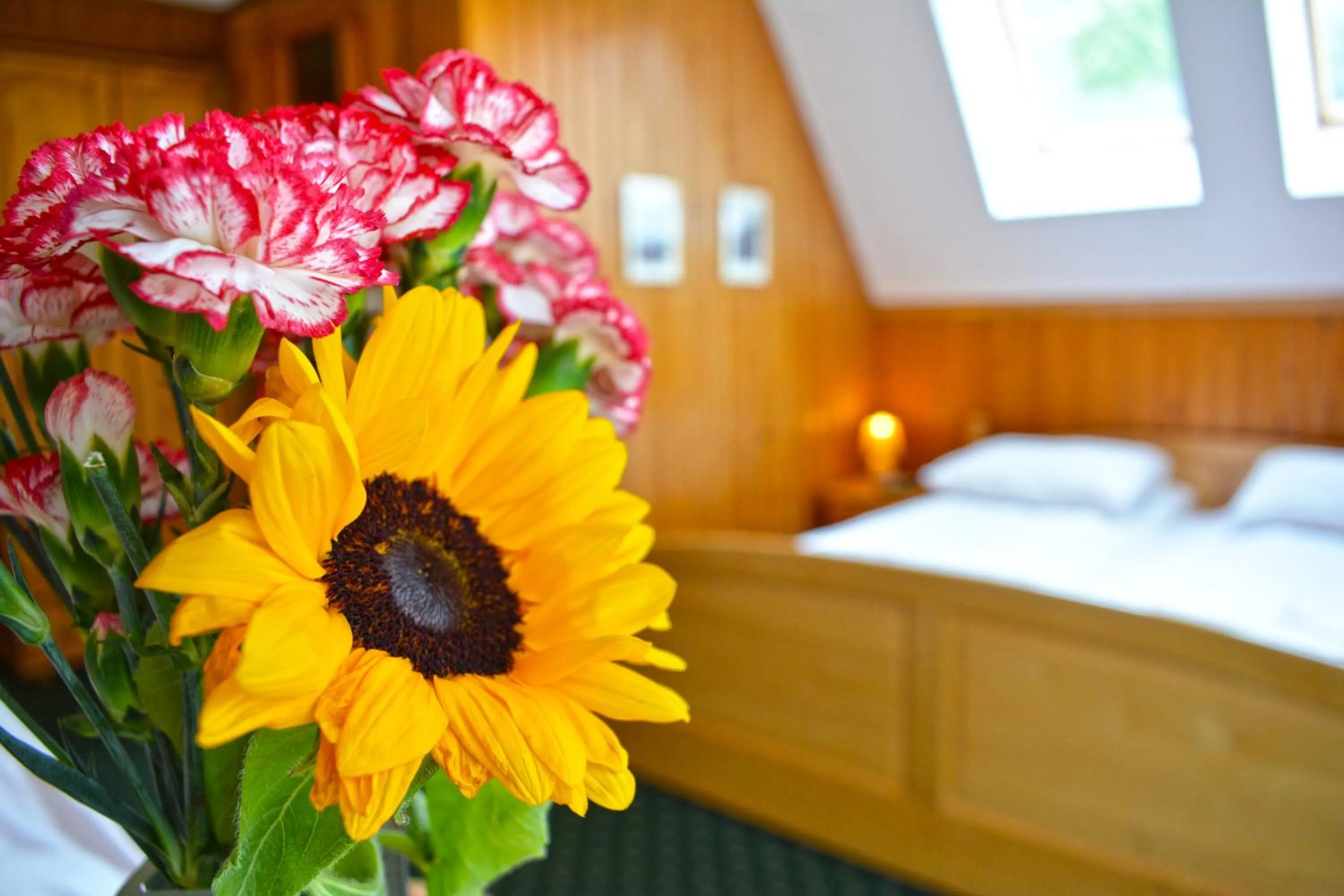 Photo of the whole room, Bed in Willa Halka