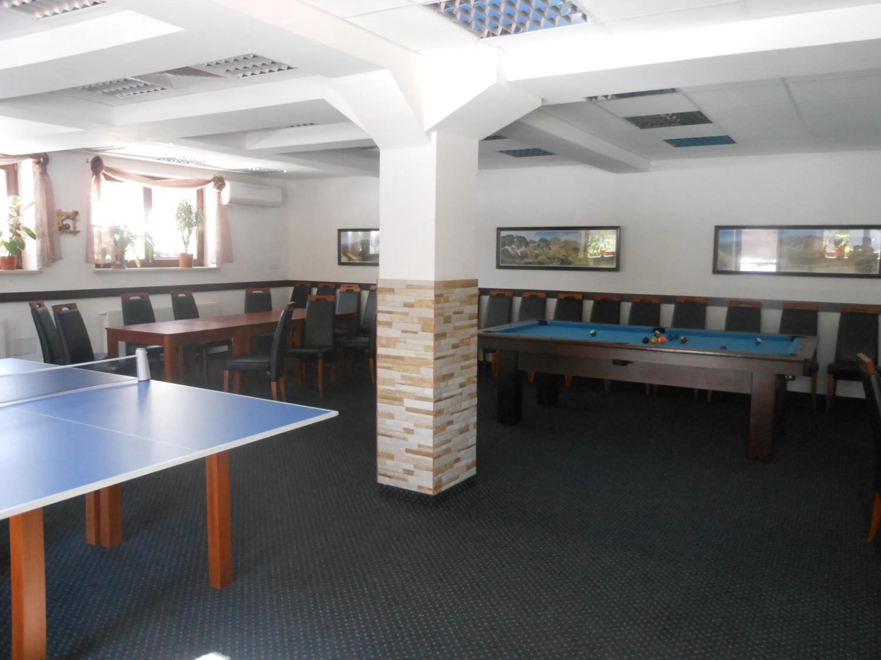 Billiard in Willa Halka