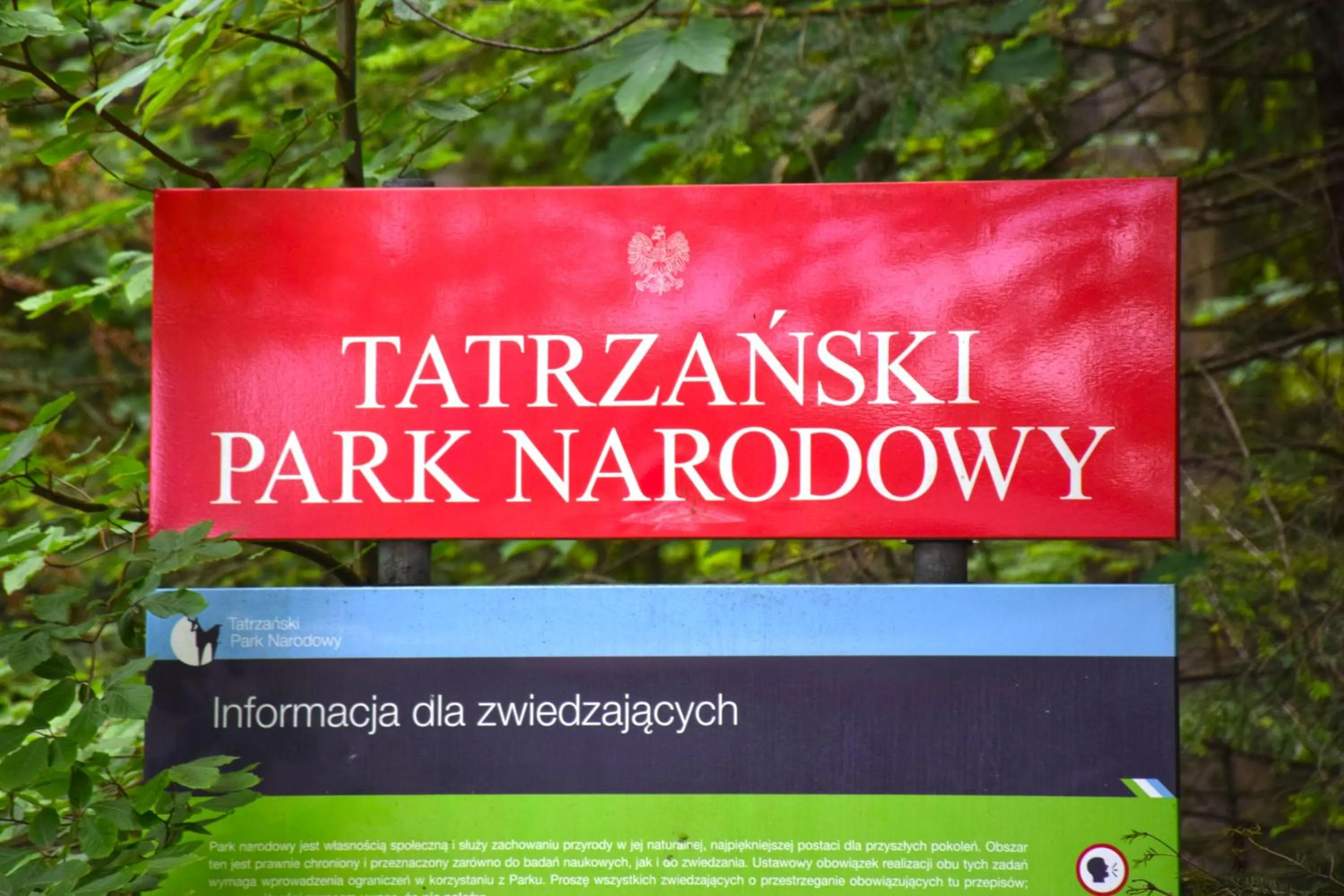 Logo/Certificate/Sign in Willa Halka