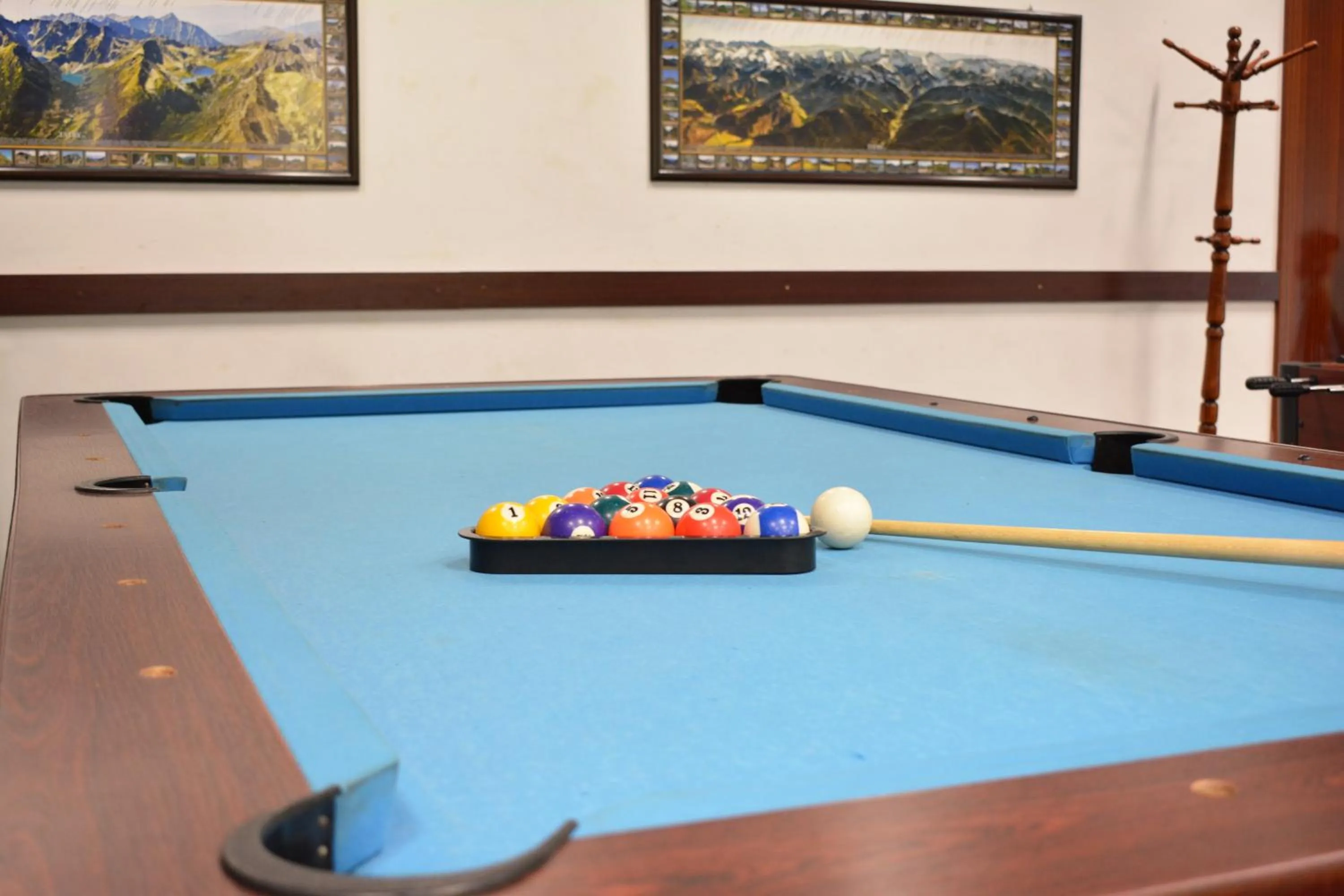 Billiard in Willa Halka