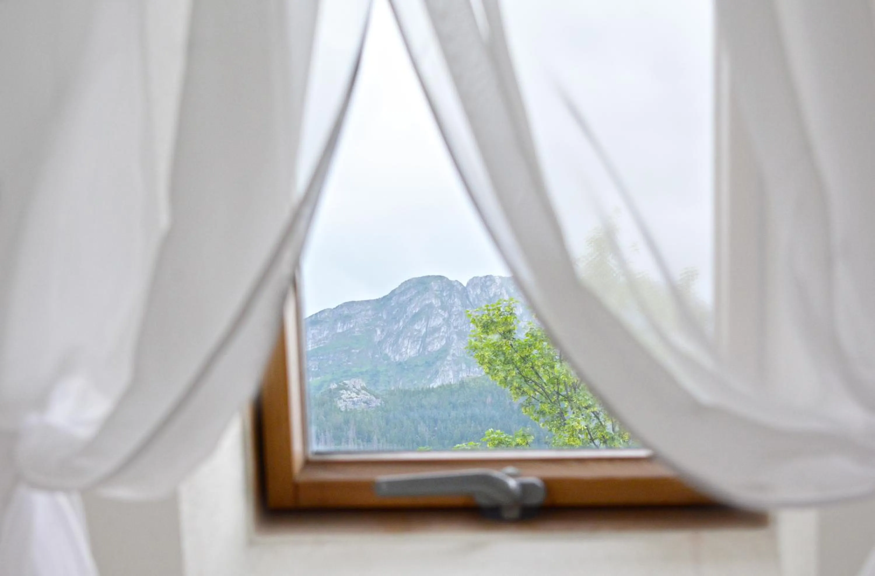 Mountain view in Willa Halka