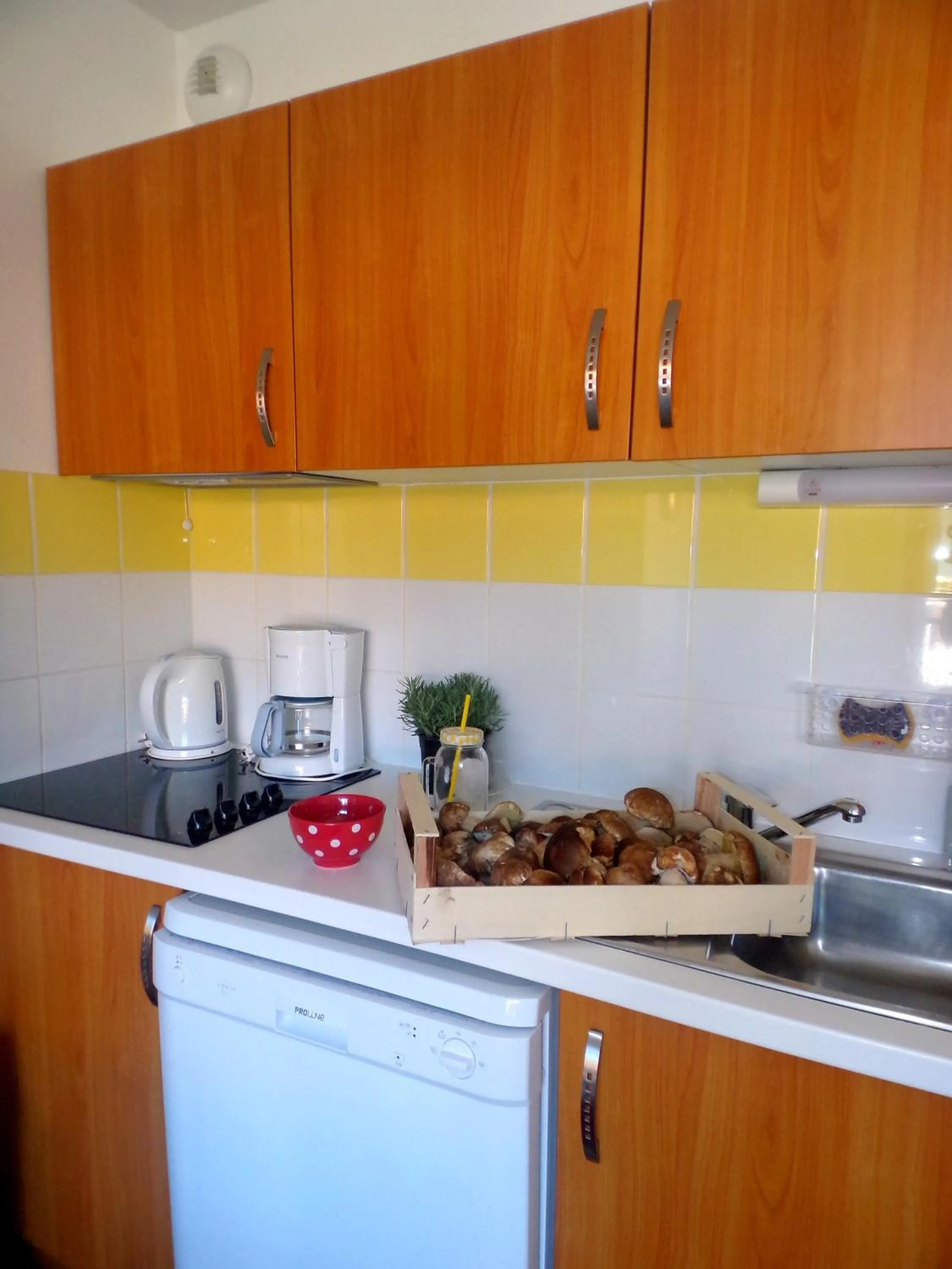 Kitchen or kitchenette in Vacancéole - Le Domaine des Grands Lacs