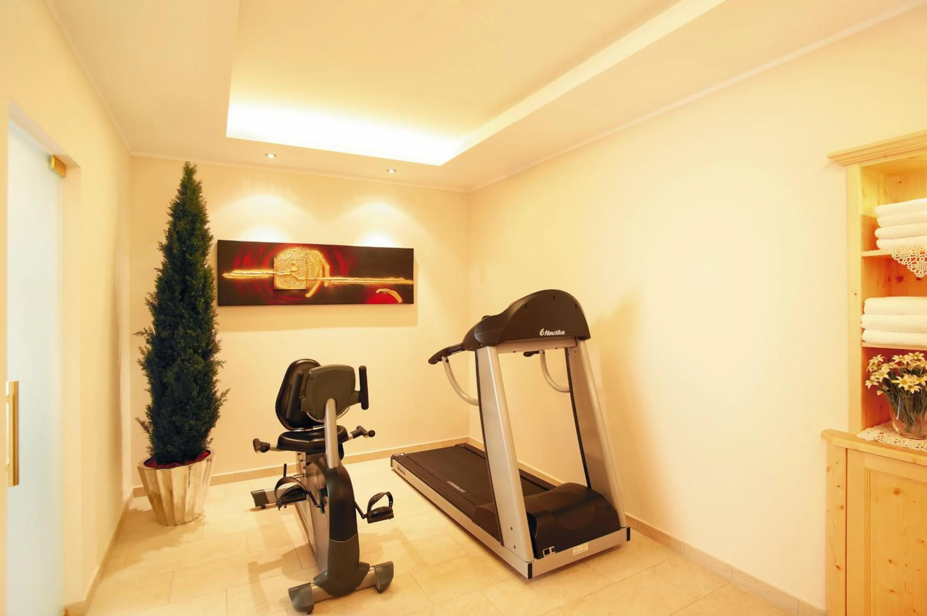 Fitness centre/facilities in Arthotel Gratschwirt