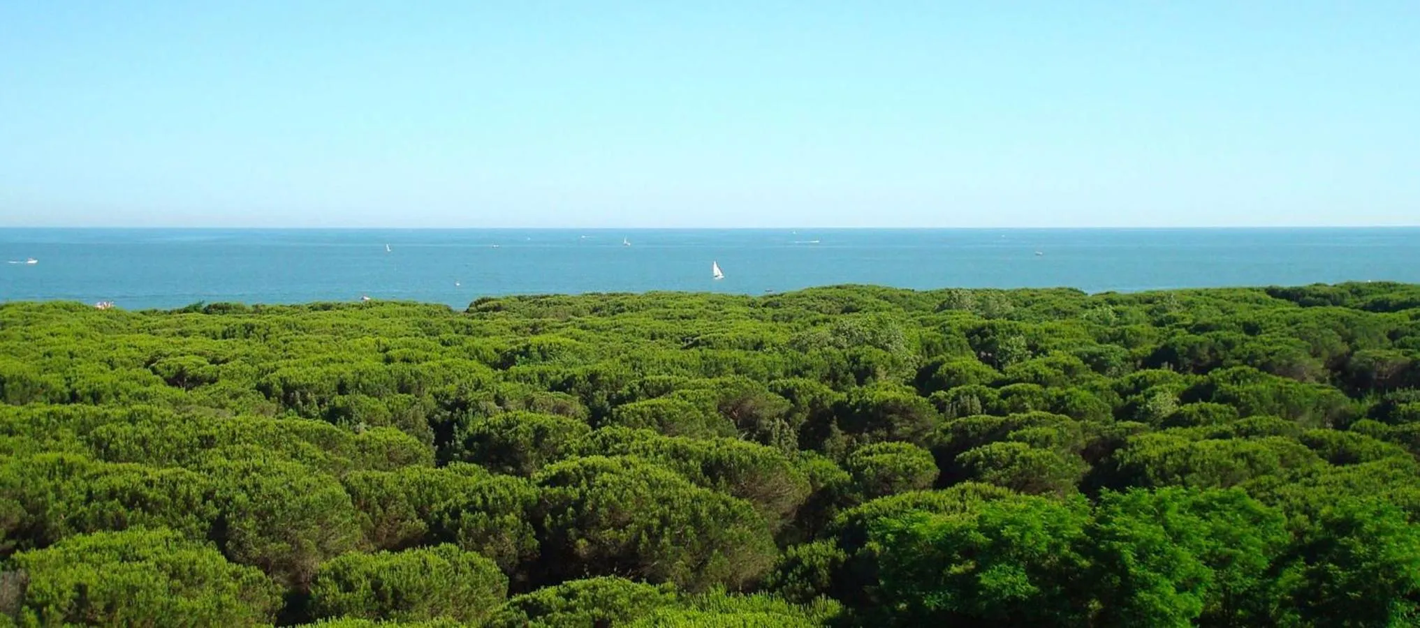 Summer in Hotel President