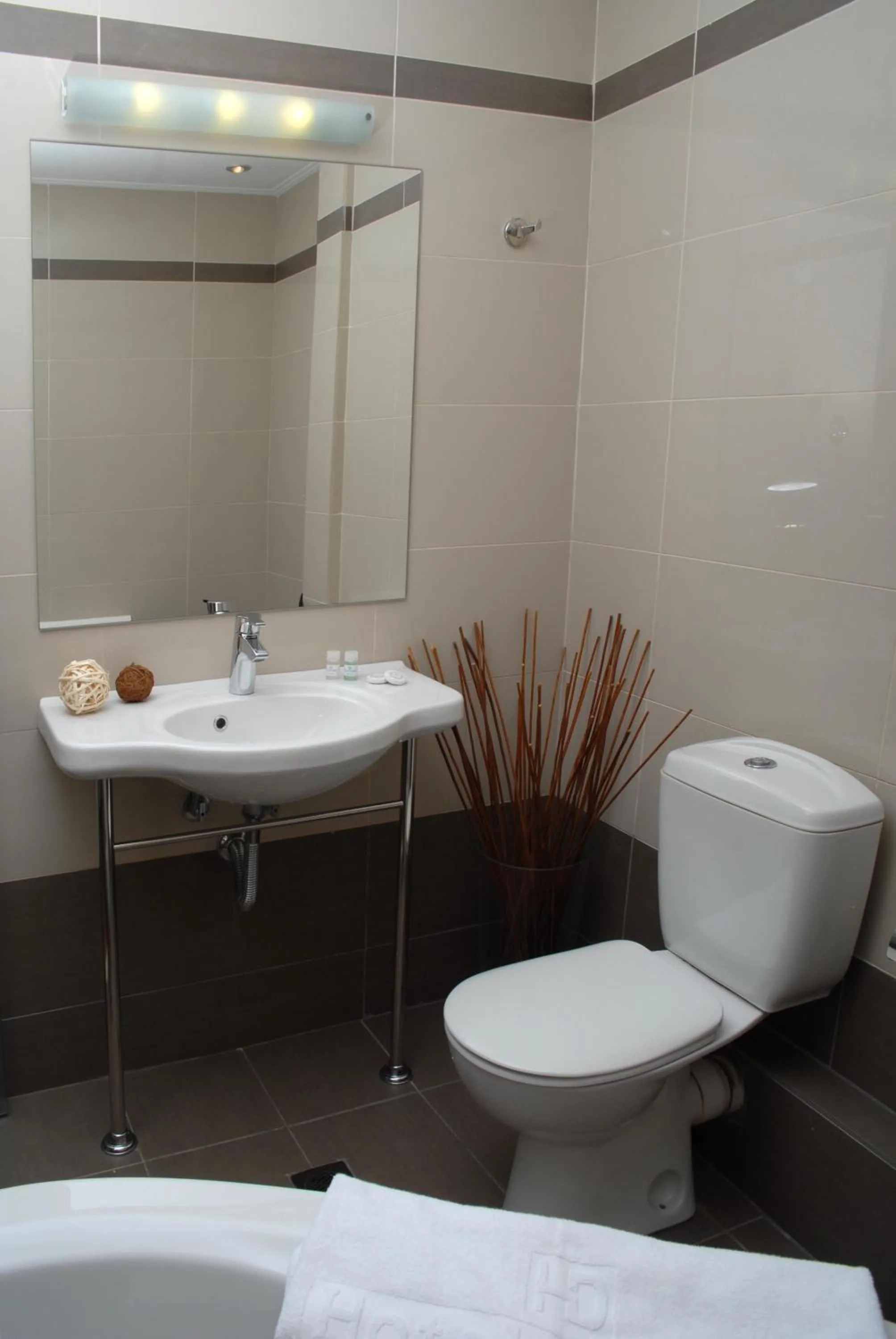 Bathroom in Hotel Delfini