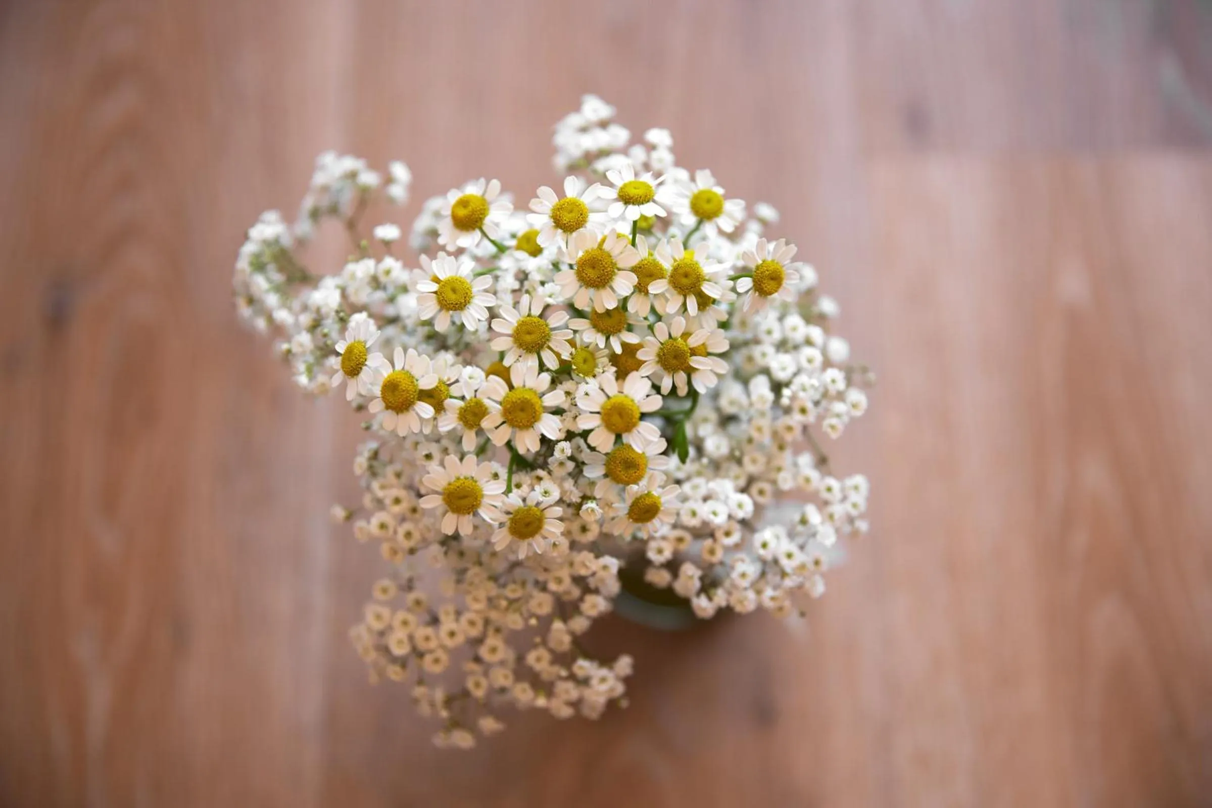 Photo of the whole room in Alpinresort Stubaierhof ****s