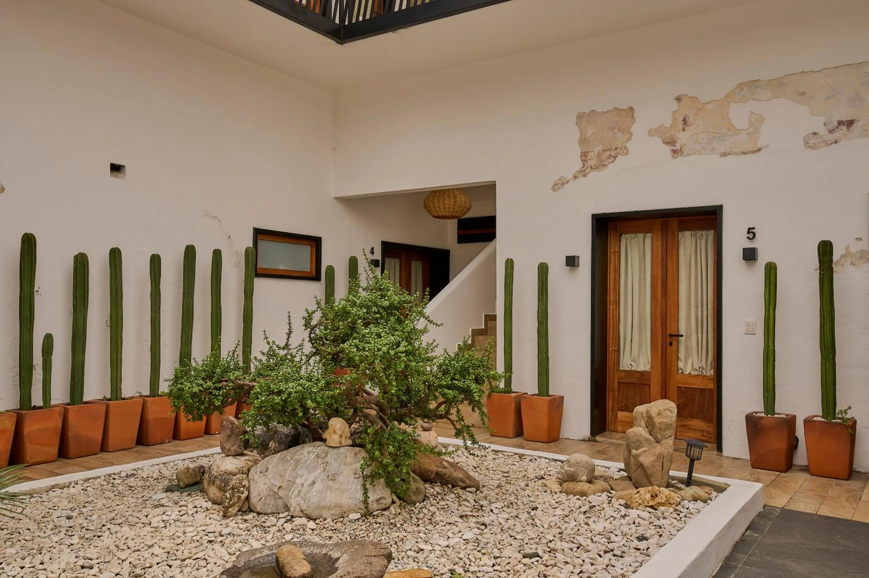 Garden in Stay Ortenxia