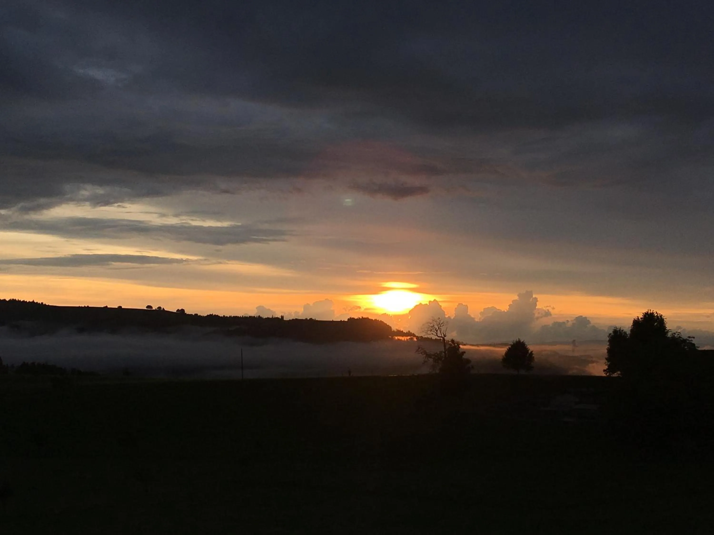 View (from property/room) in Hotel Restaurant Hammer