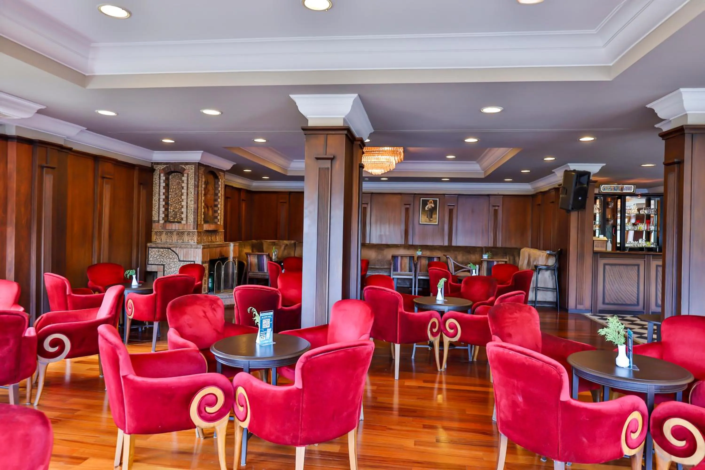 Lounge or bar in Buyuk Abant Hotel