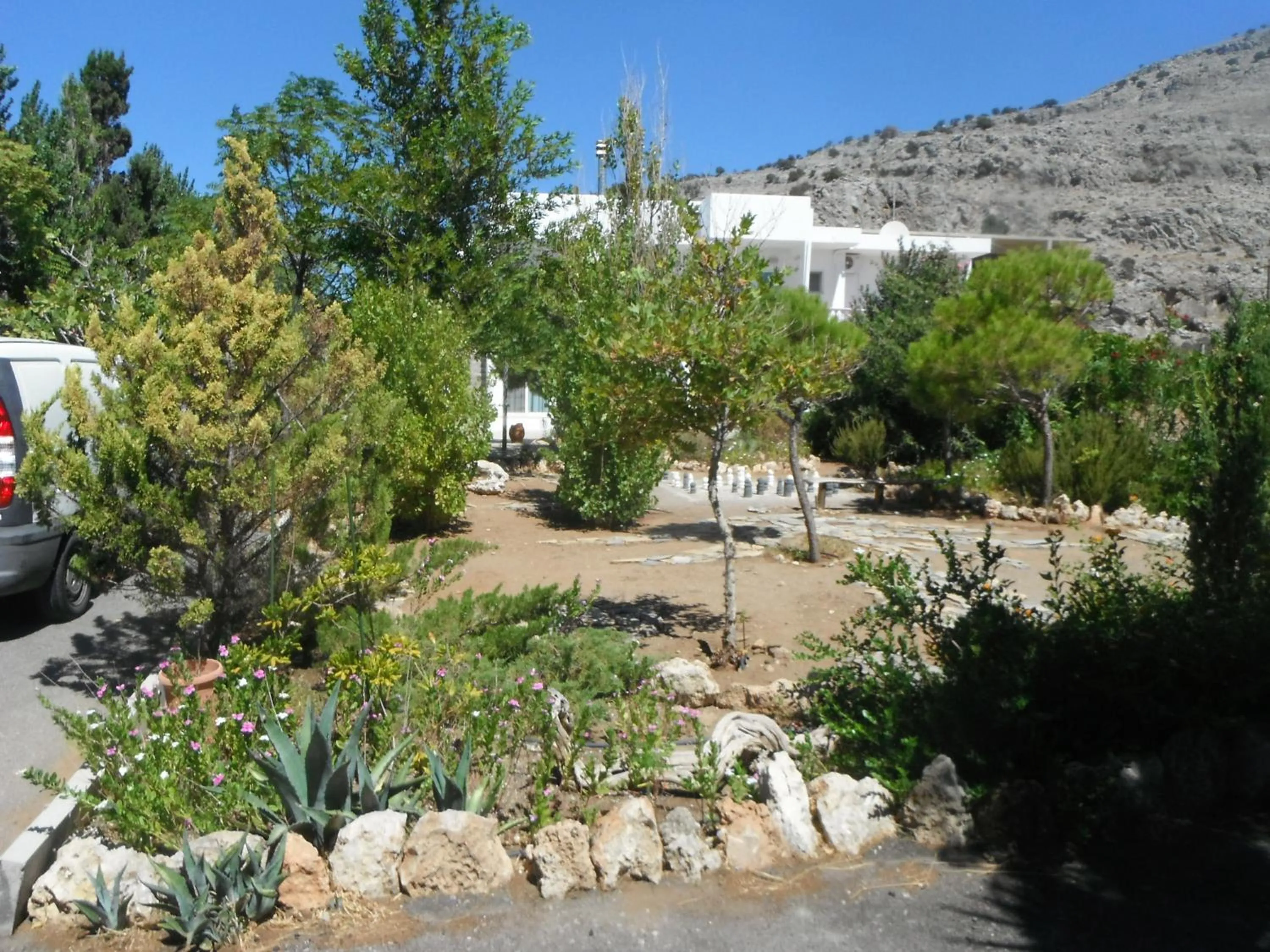 Garden view in Mandorla Apartments