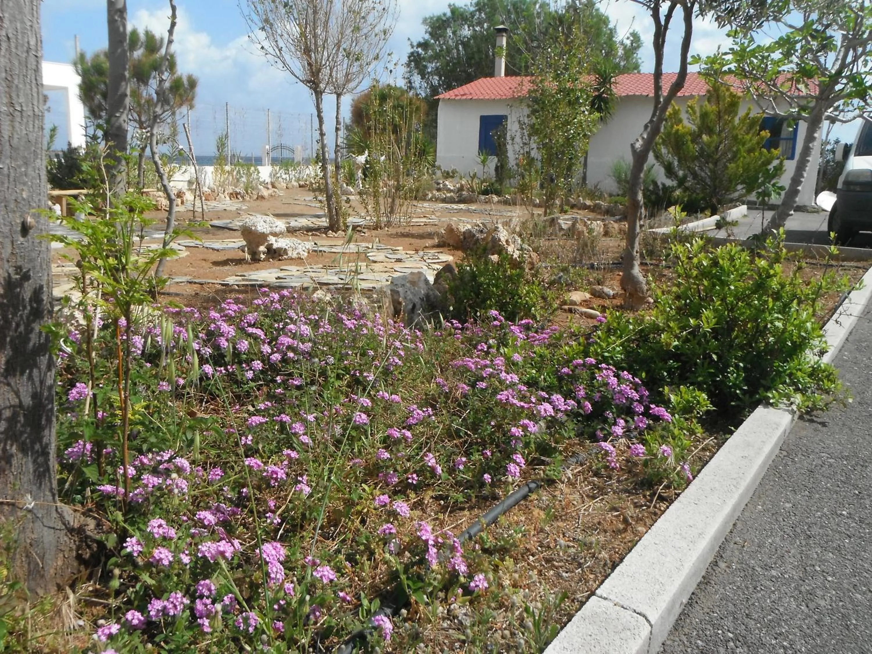 Garden in Mandorla Apartments