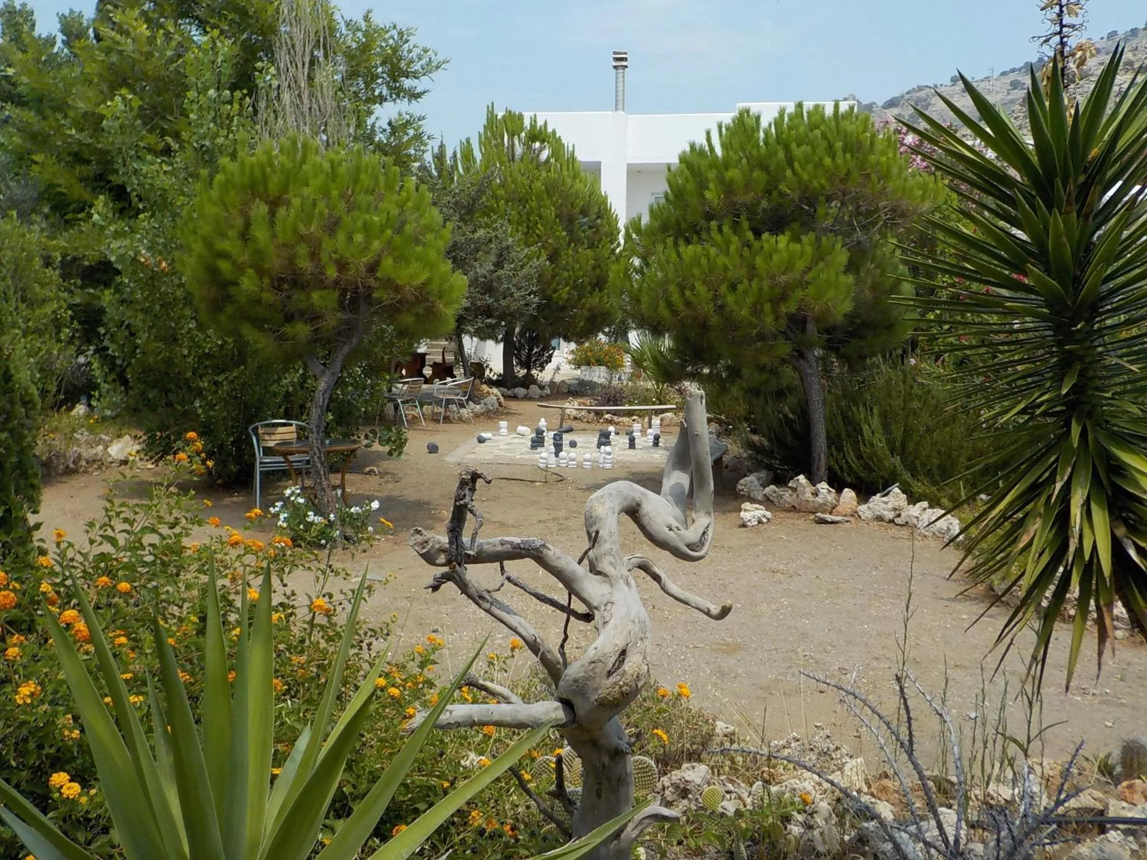 Garden in Mandorla Apartments