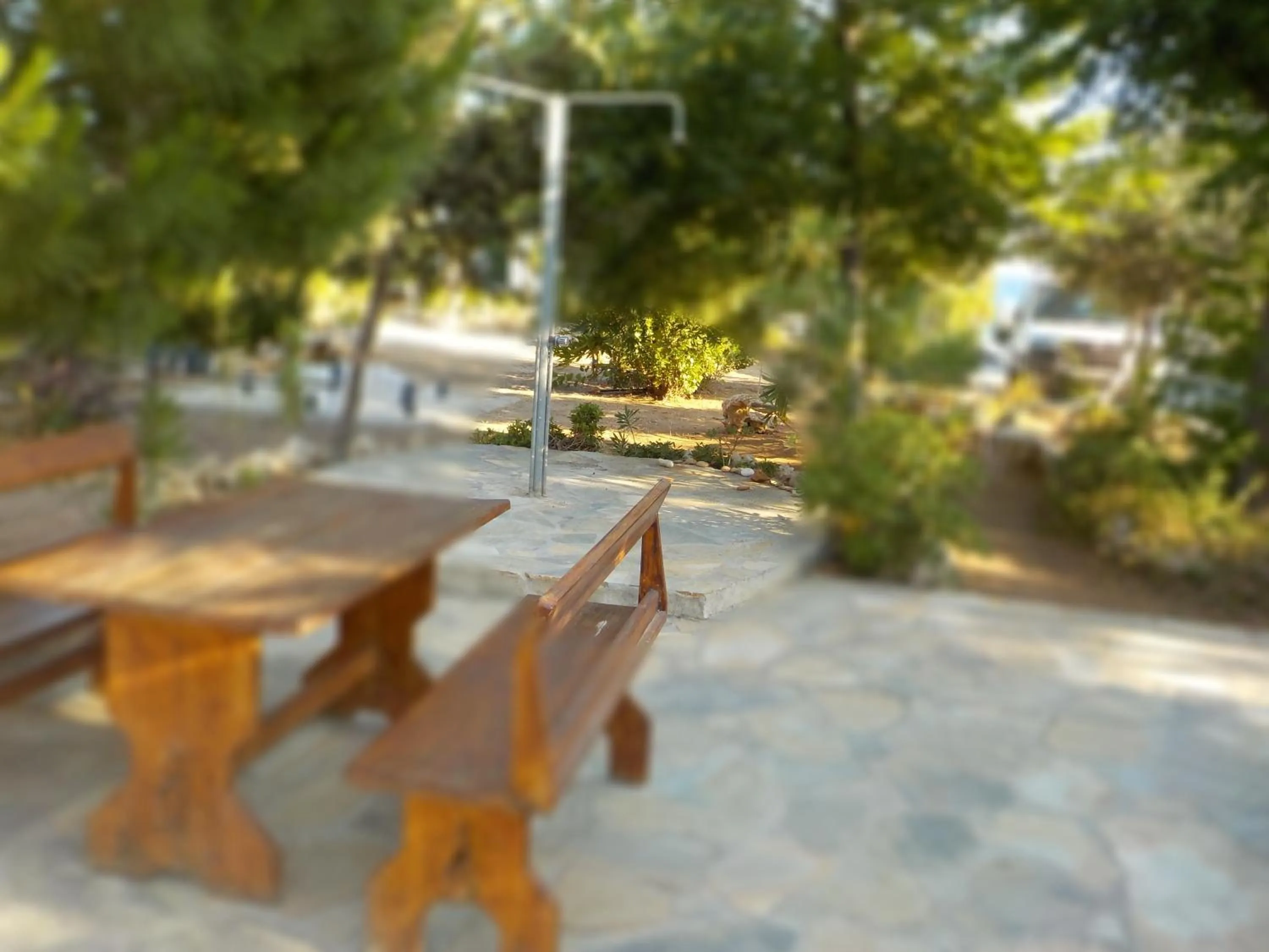 Garden in Mandorla Apartments