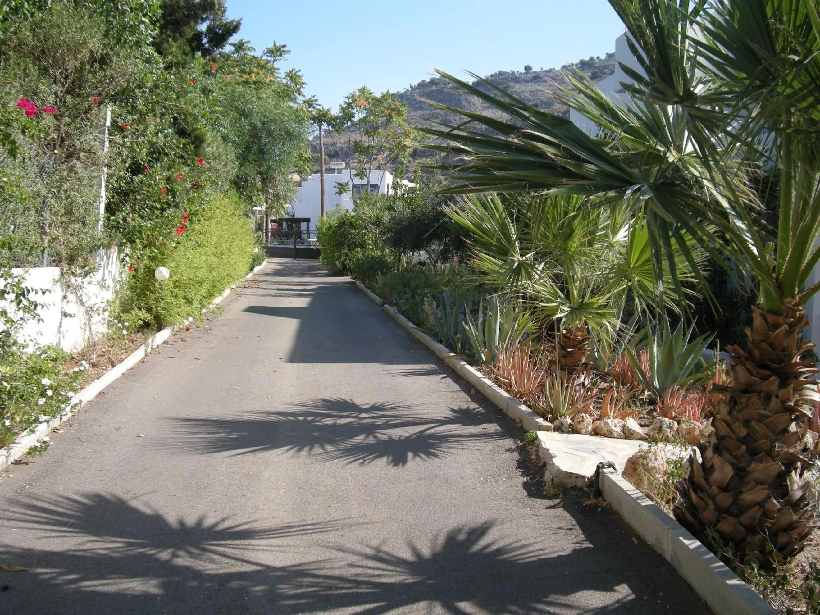 Garden in Mandorla Apartments