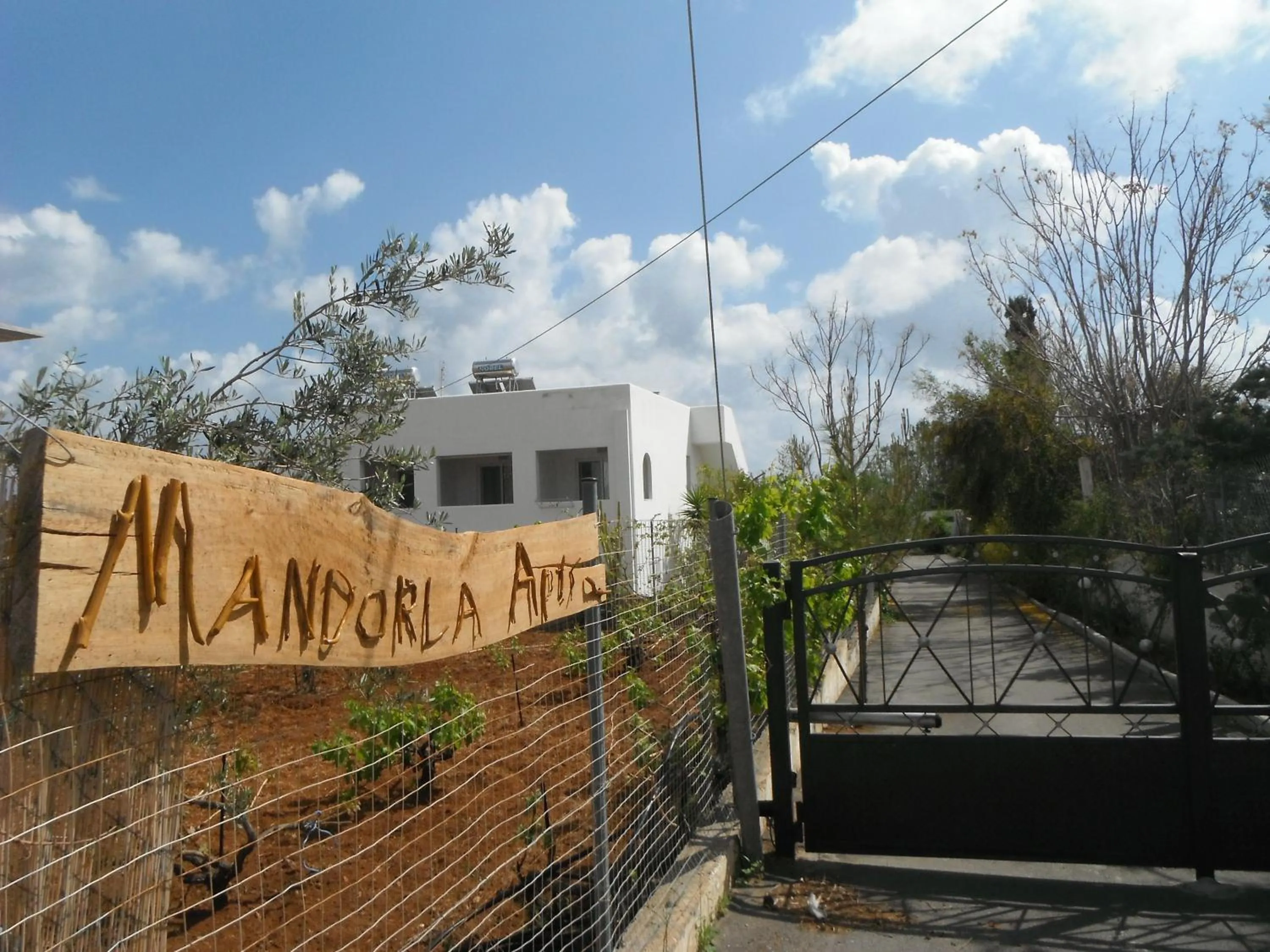 Garden in Mandorla Apartments