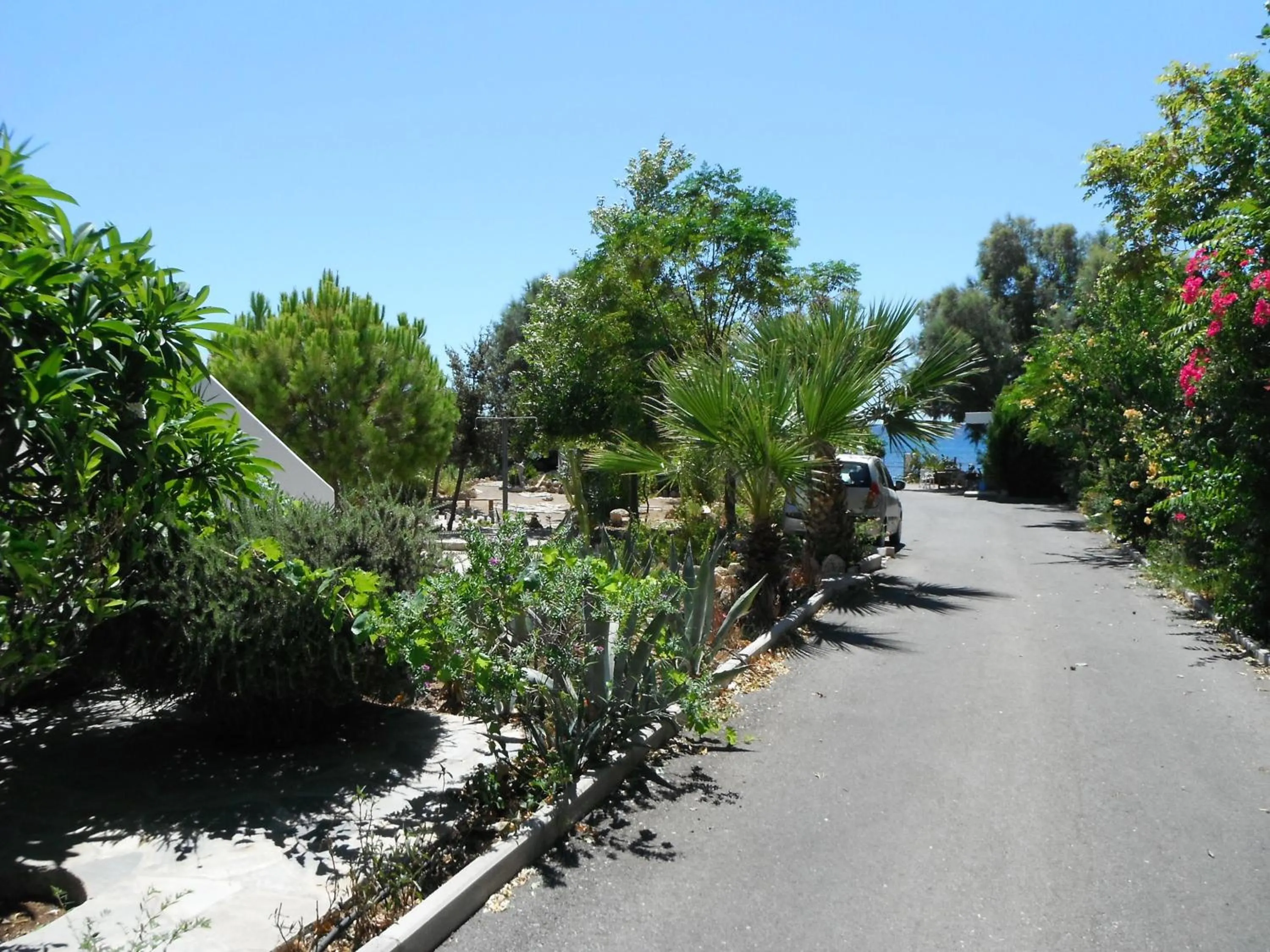 Street view in Mandorla Apartments
