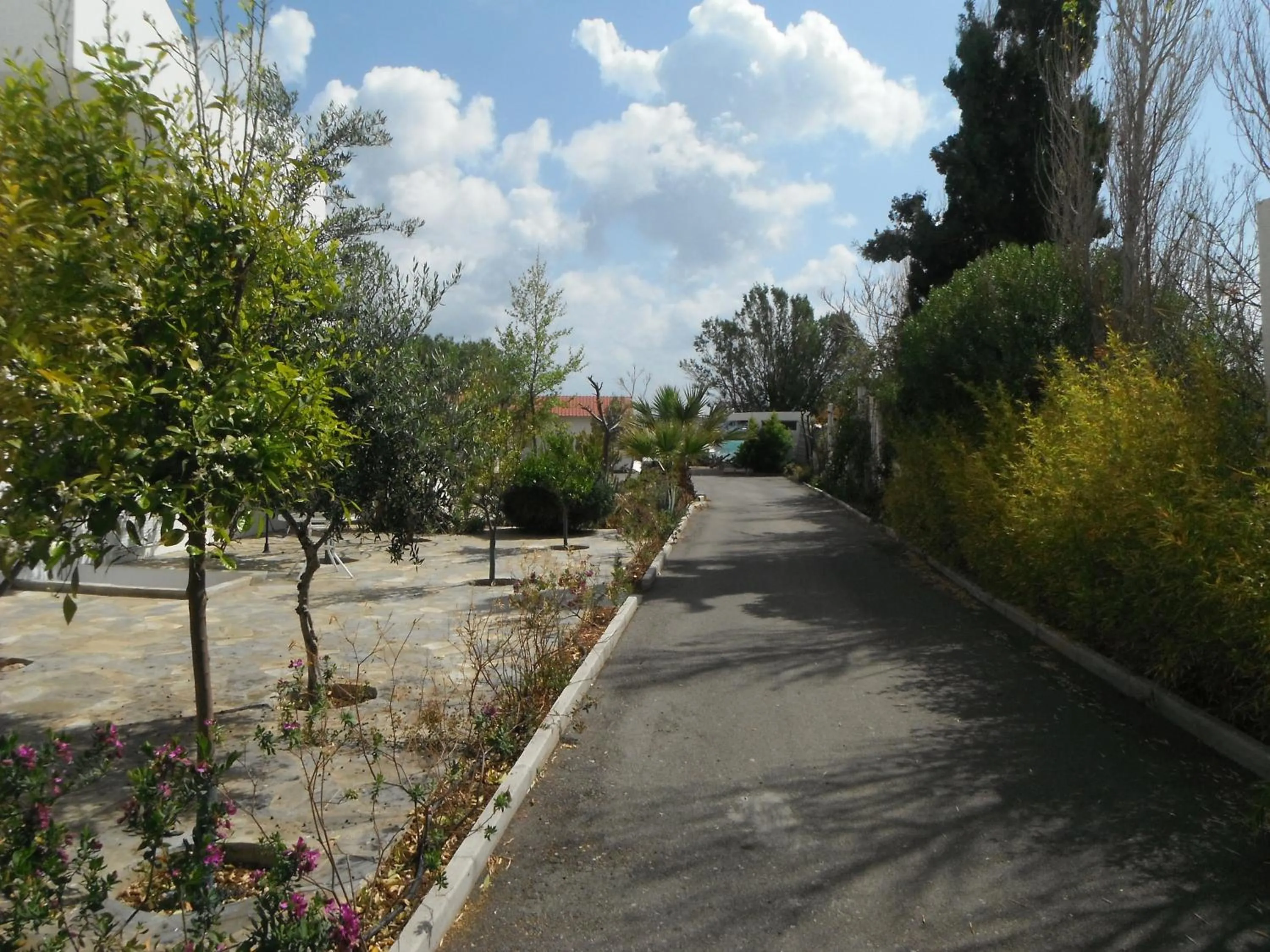 Garden in Mandorla Apartments