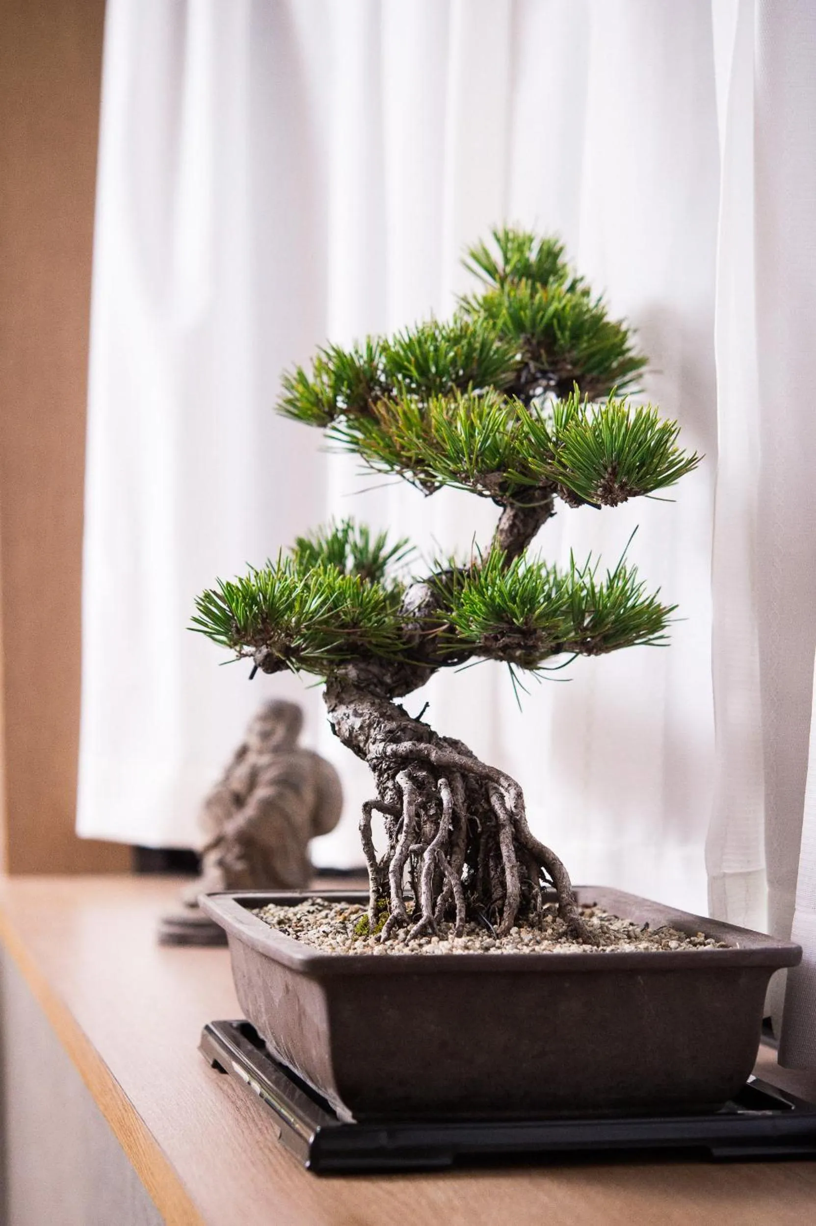 Decorative detail in Buddha House