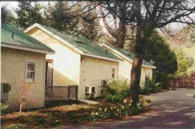 Backyard Garden Oasis