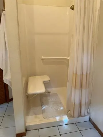 View (from property/room) in Backyard Garden Oasis