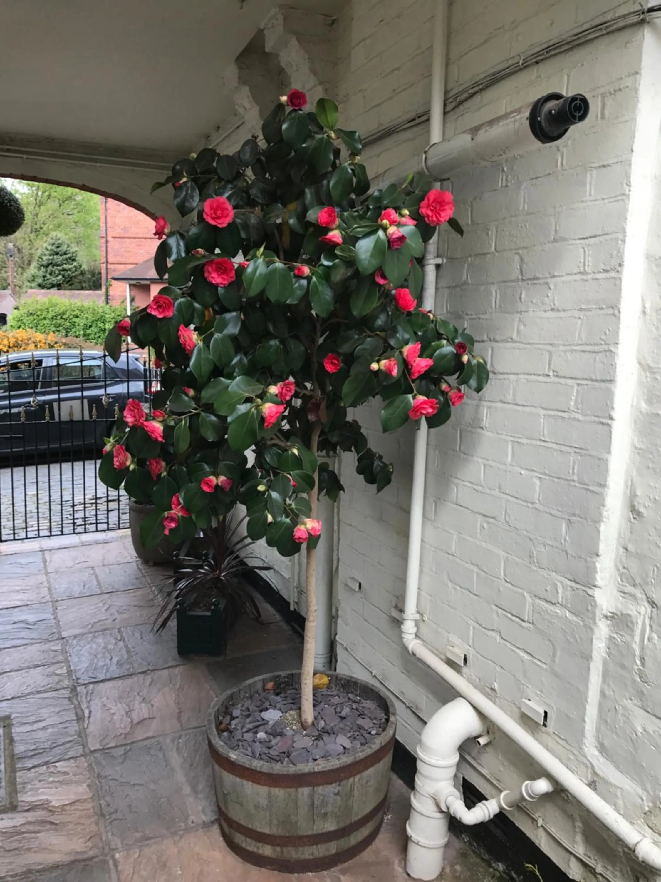 Property building in Clayhanger Guest House