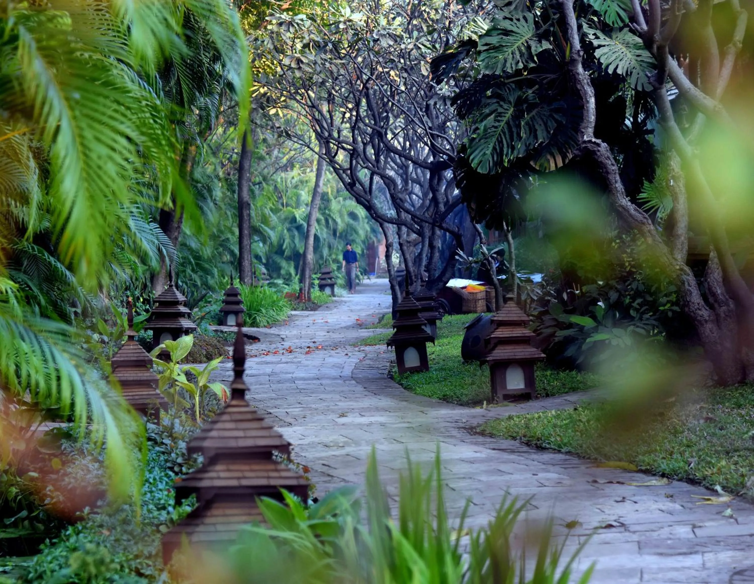 Garden in The Hotel @ Tharabar Gate