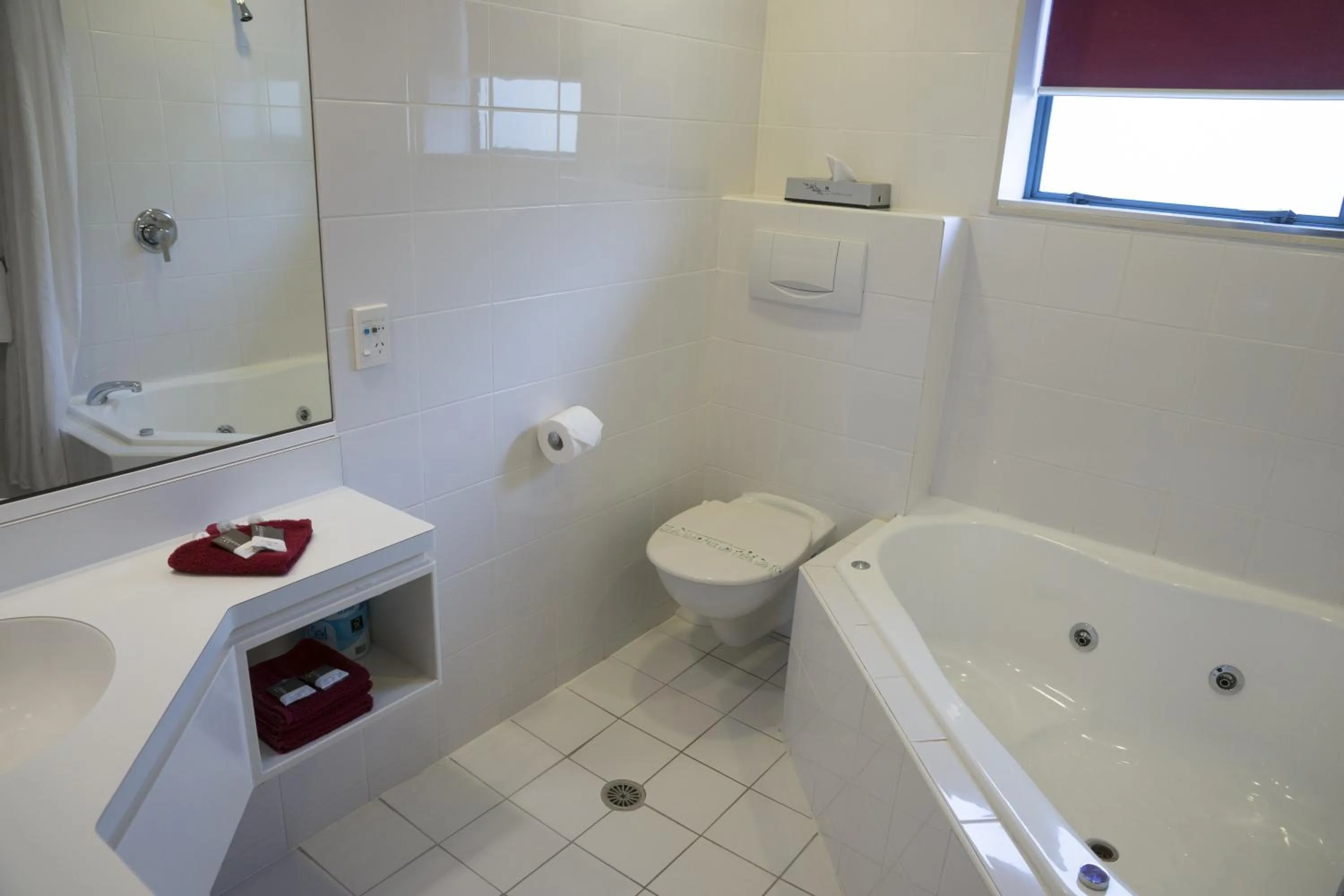 Bathroom in Aubyn Court Spa Motel