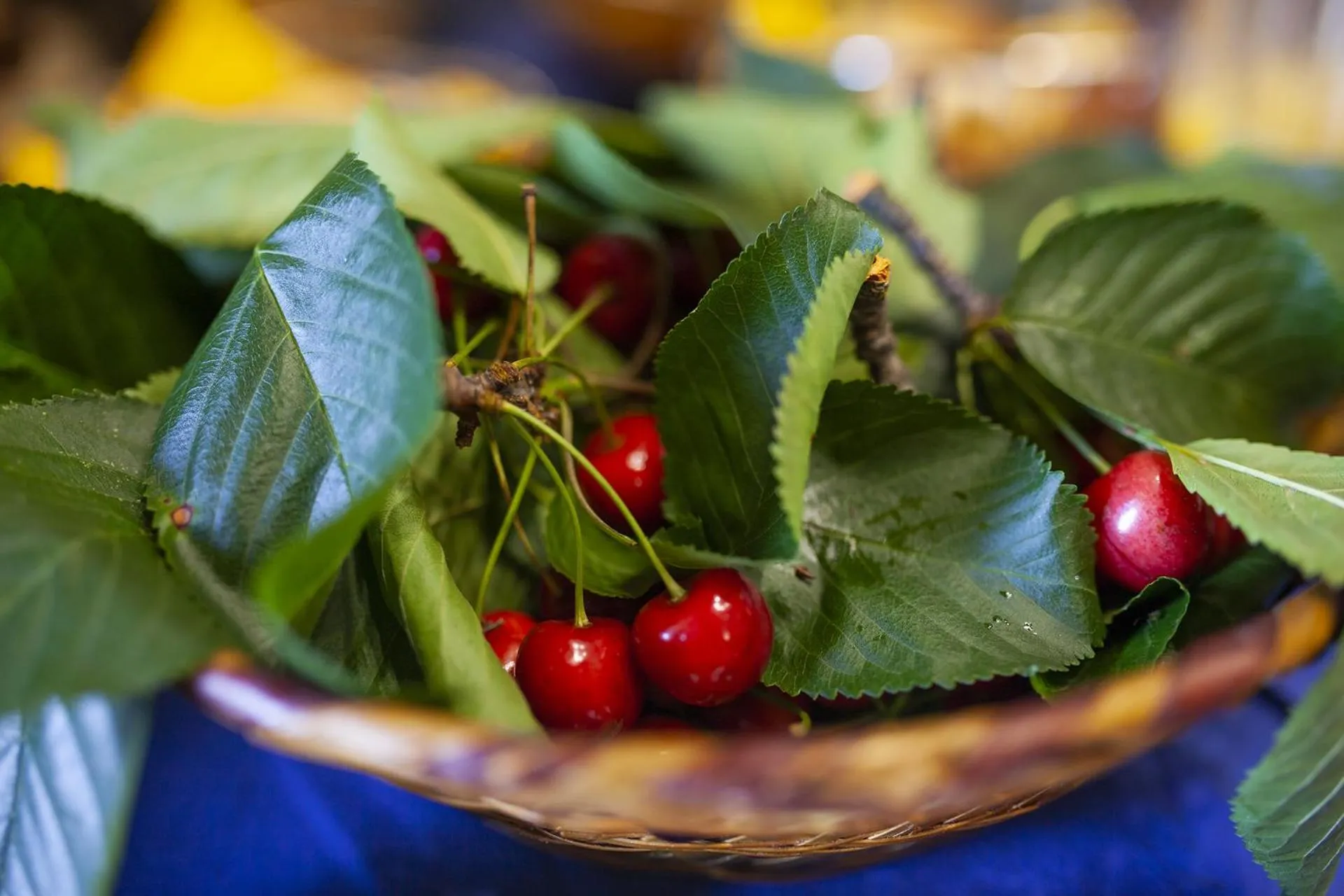 Buffet breakfast in Villa Moorings