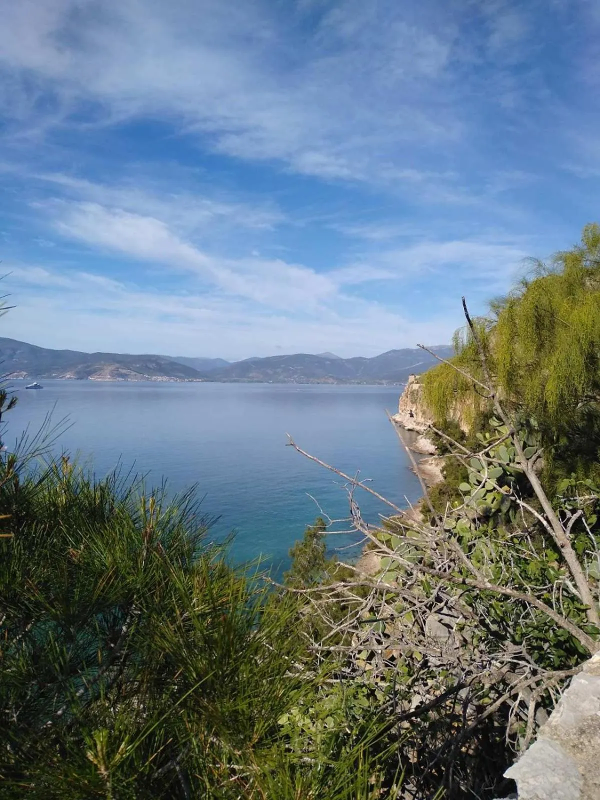 Natural landscape in Victoria Hotel