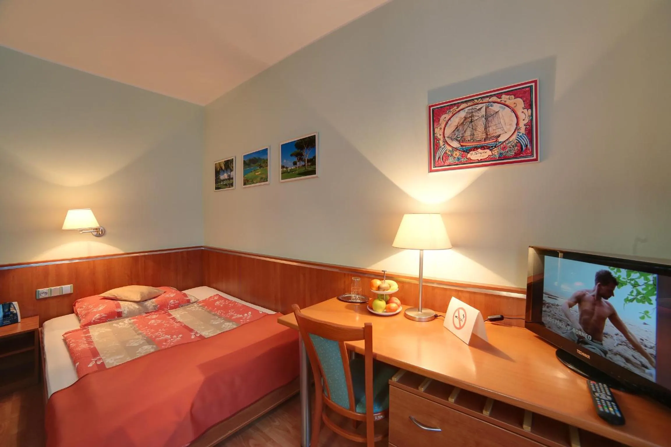 TV and multimedia, Bed in Penzion Fan