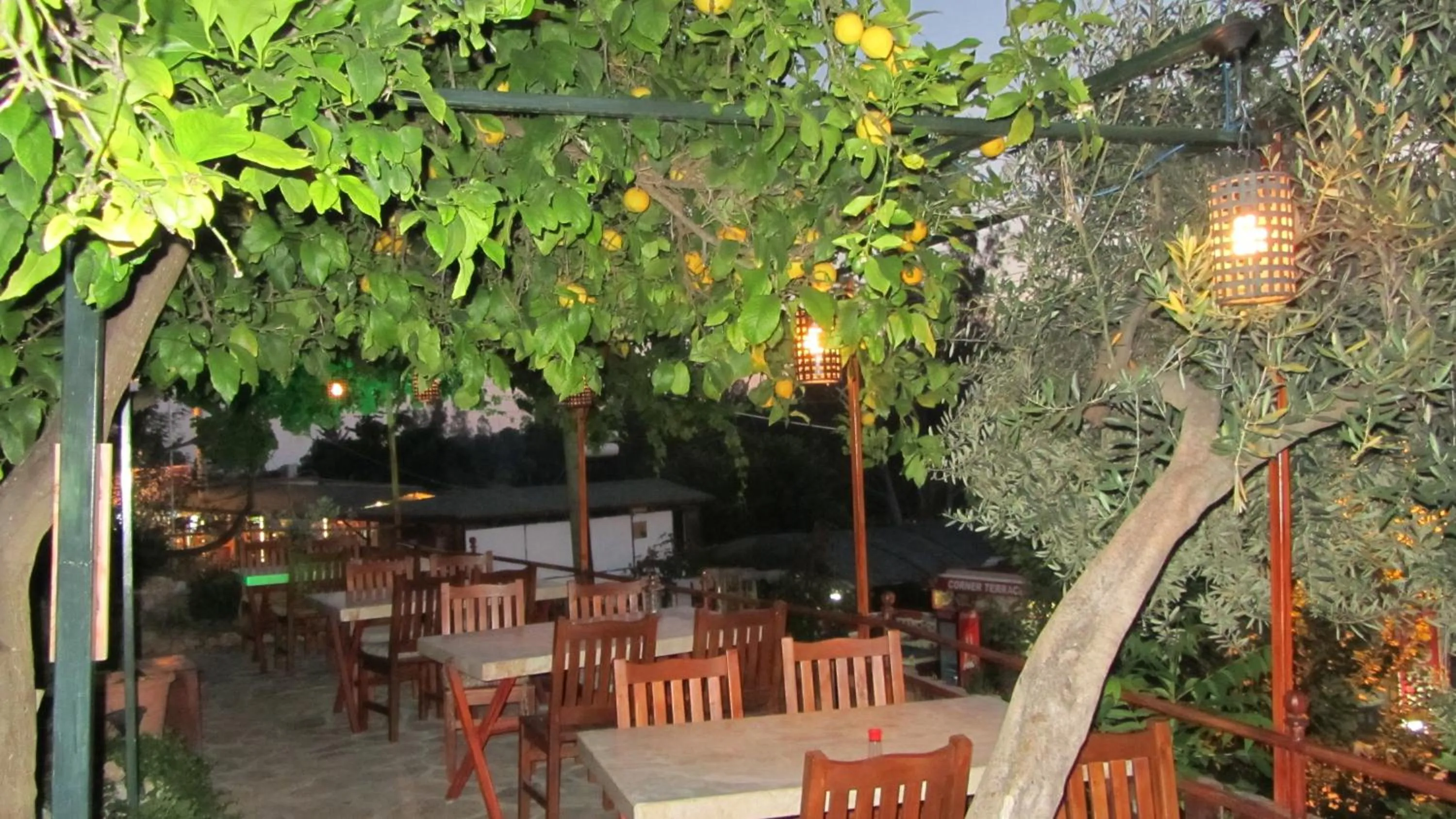 Restaurant/places to eat in St. Nicholas Pension