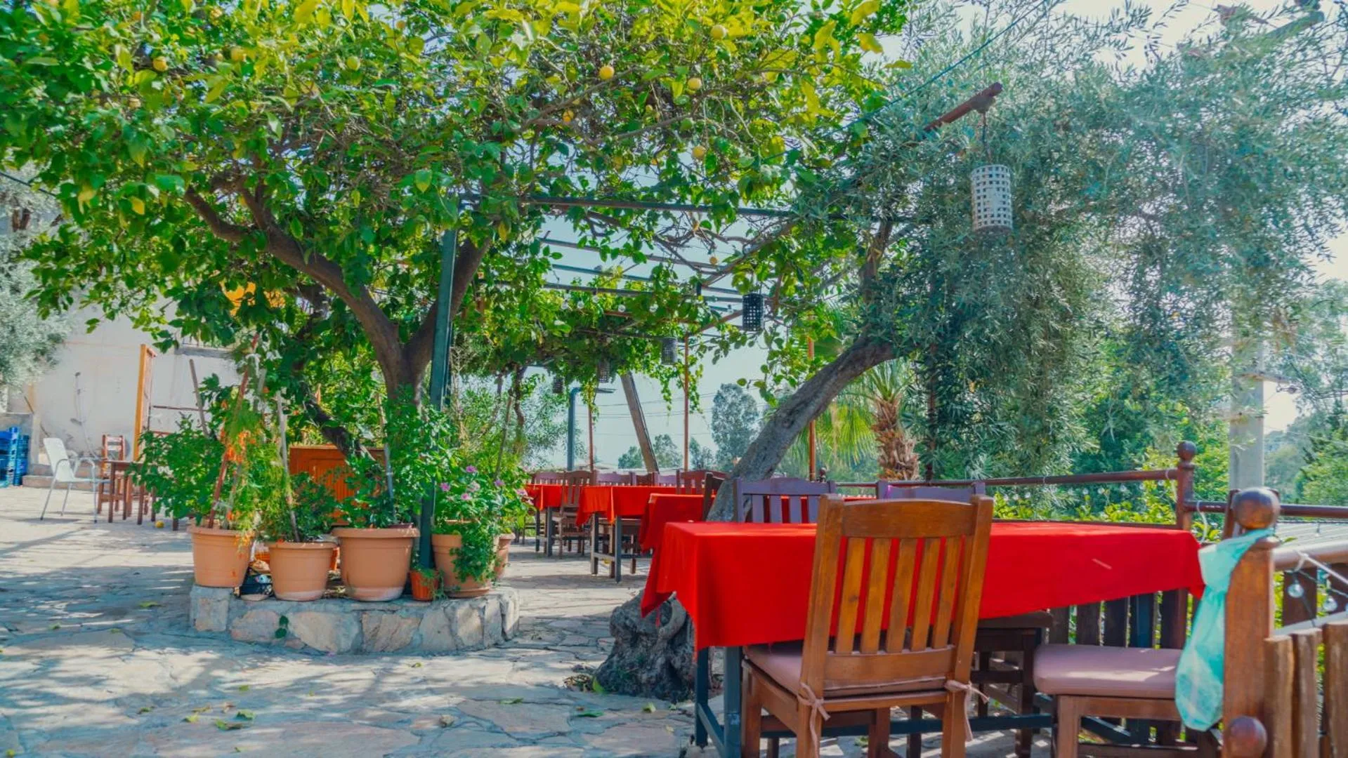 Restaurant/places to eat in St. Nicholas Pension