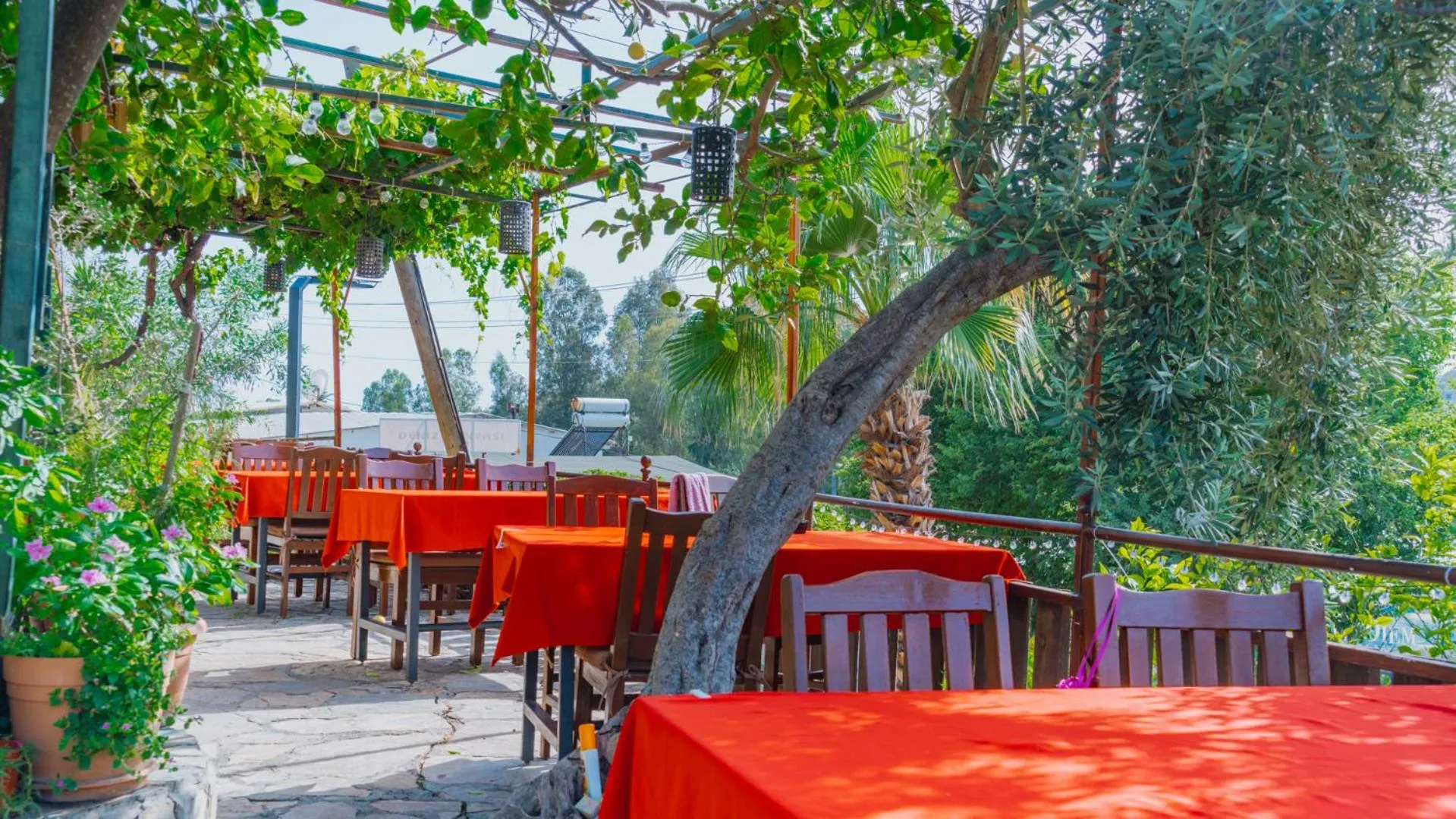 Restaurant/places to eat in St. Nicholas Pension